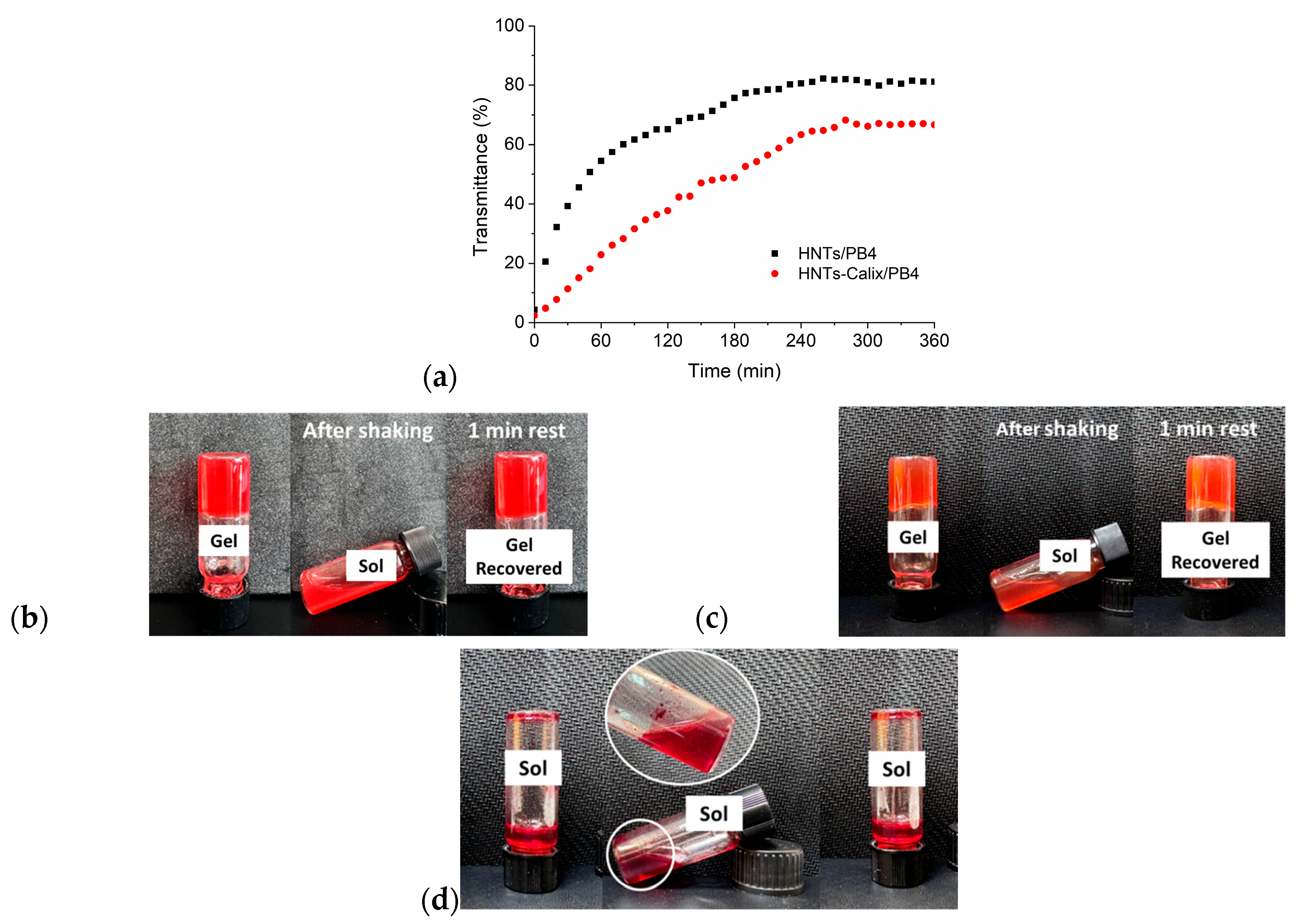 Pharmaceuticals 18 01356 g007 Pharmaceuticals 18 01356 g007