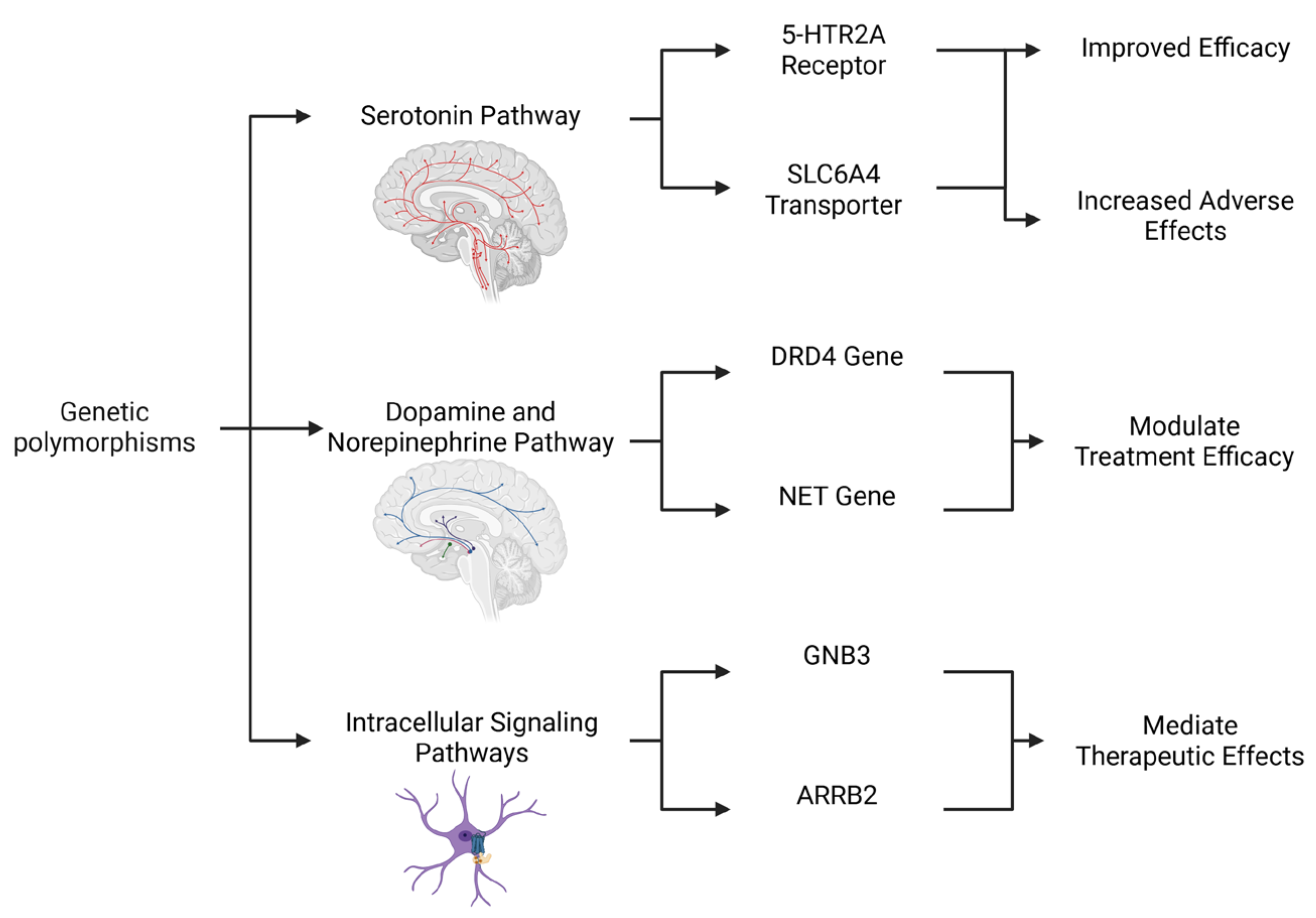 Pharmaceuticals 18 01360 g001