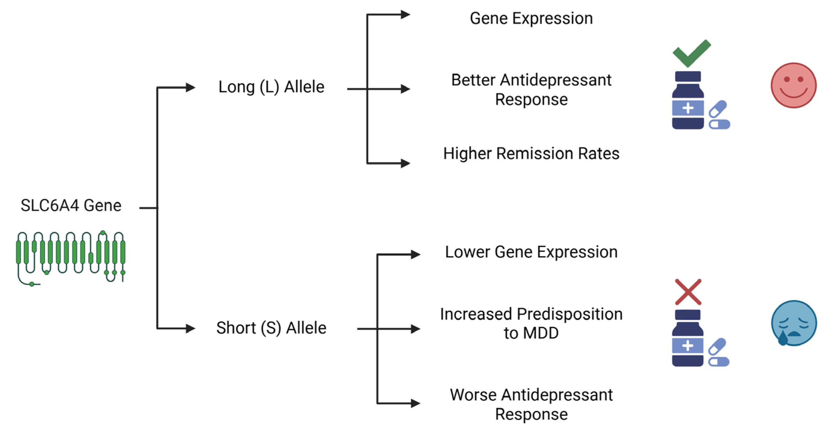 Pharmaceuticals 18 01360 g002