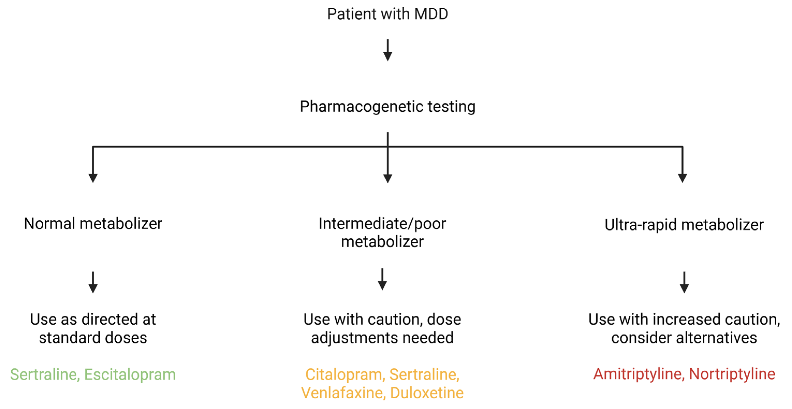 Pharmaceuticals 18 01360 g003