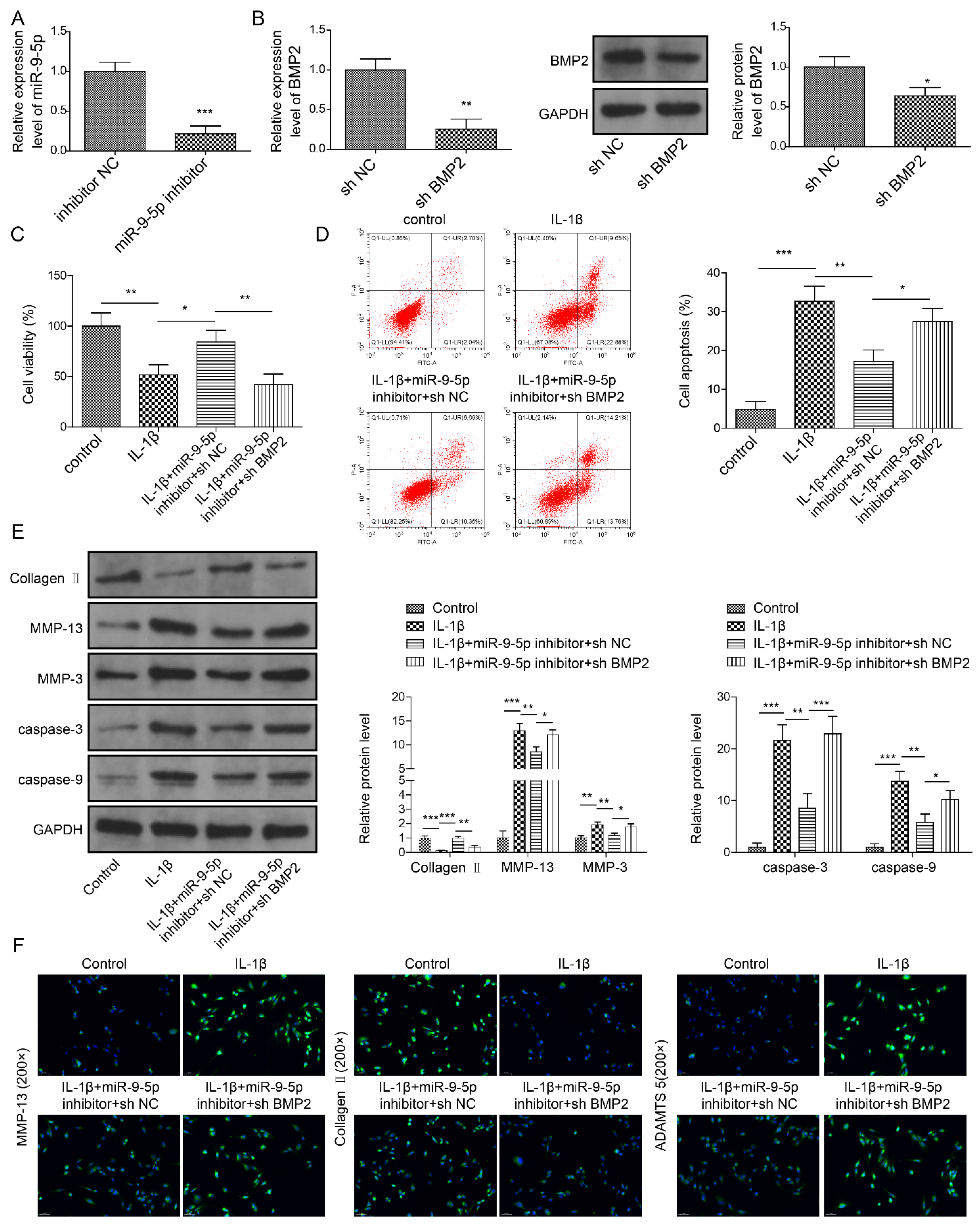 Pharmaceuticals 18 01367 g007