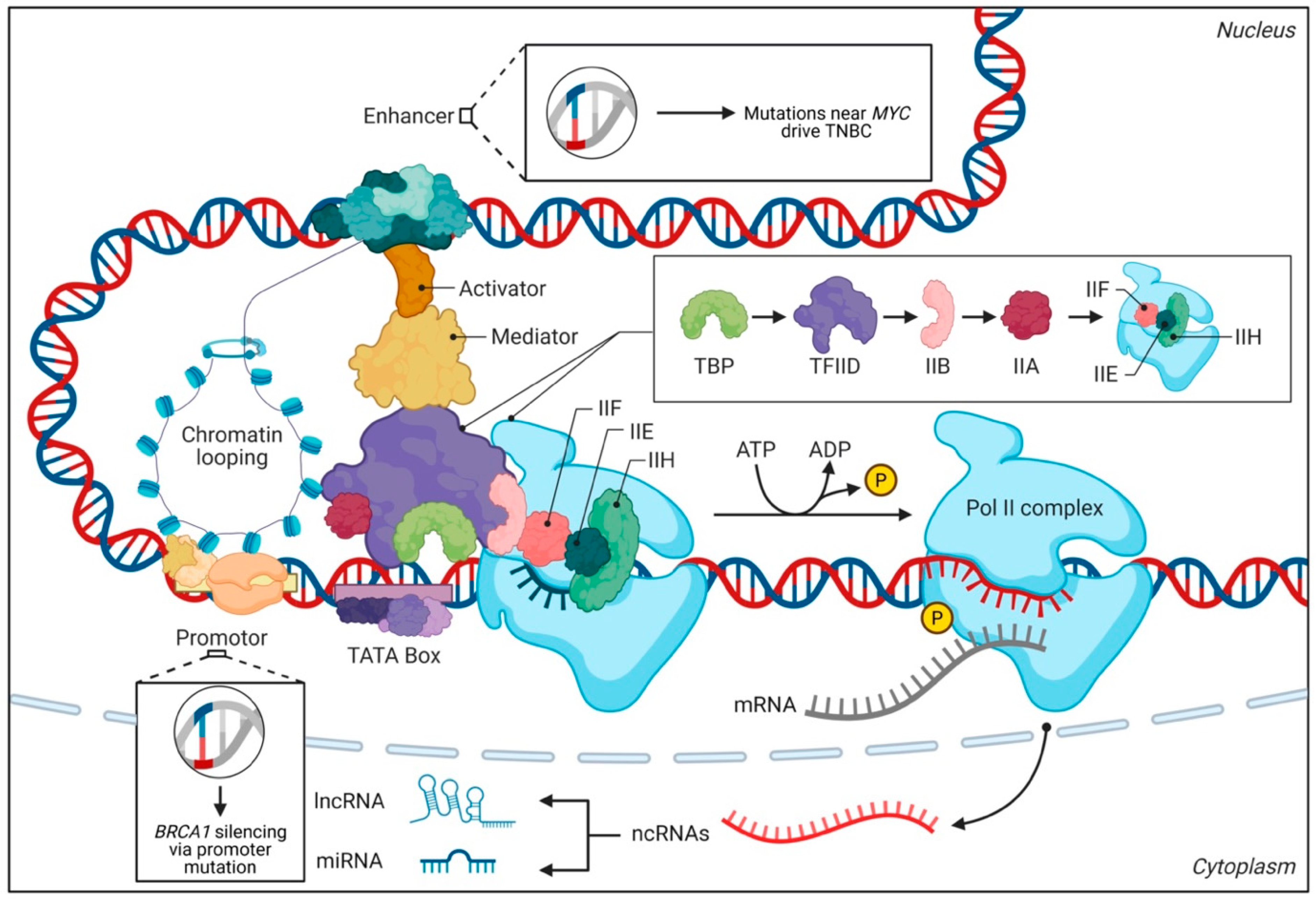 Pharmaceuticals 18 01370 g001 Pharmaceuticals 18 01370 g001