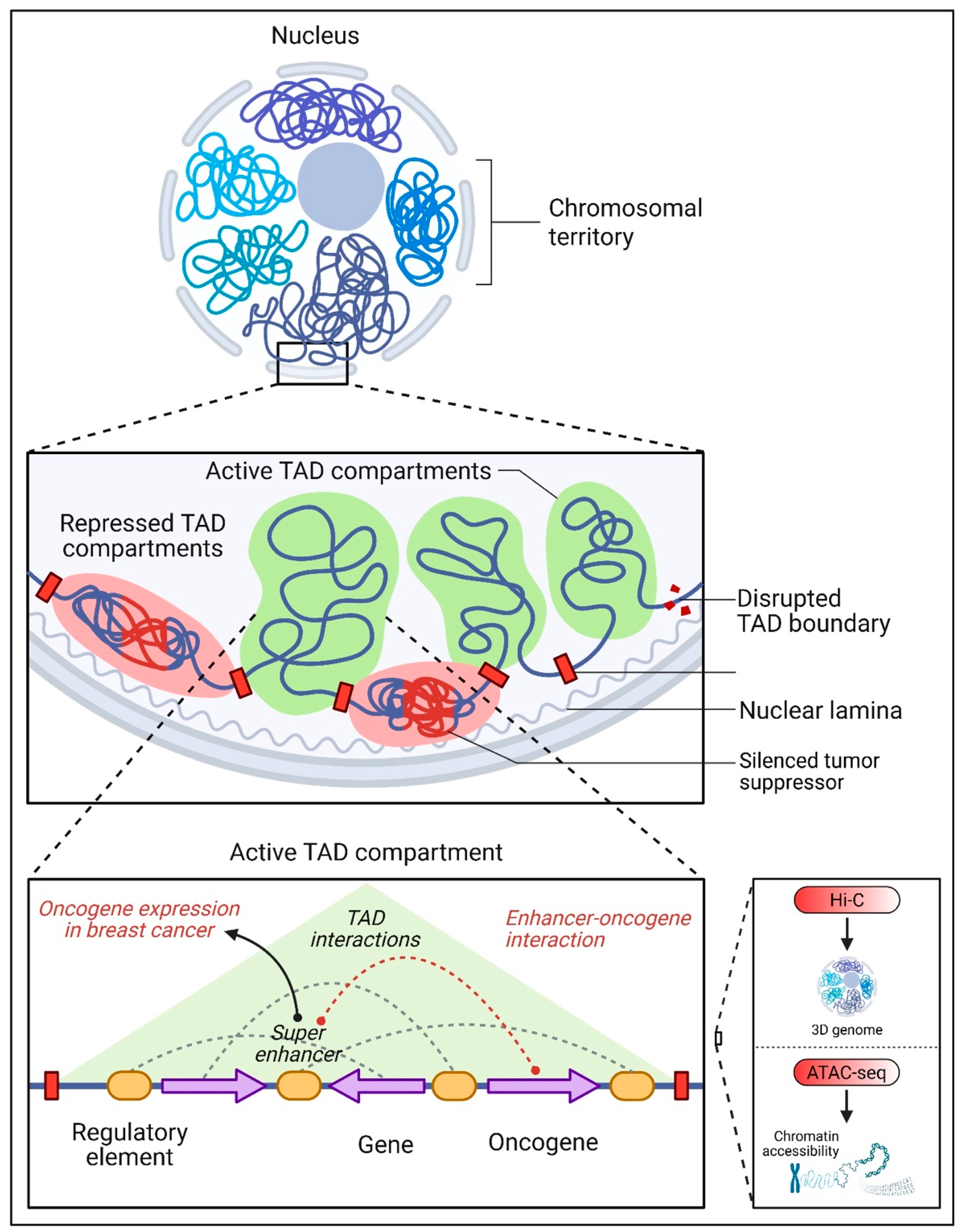 Pharmaceuticals 18 01370 g003 Pharmaceuticals 18 01370 g003