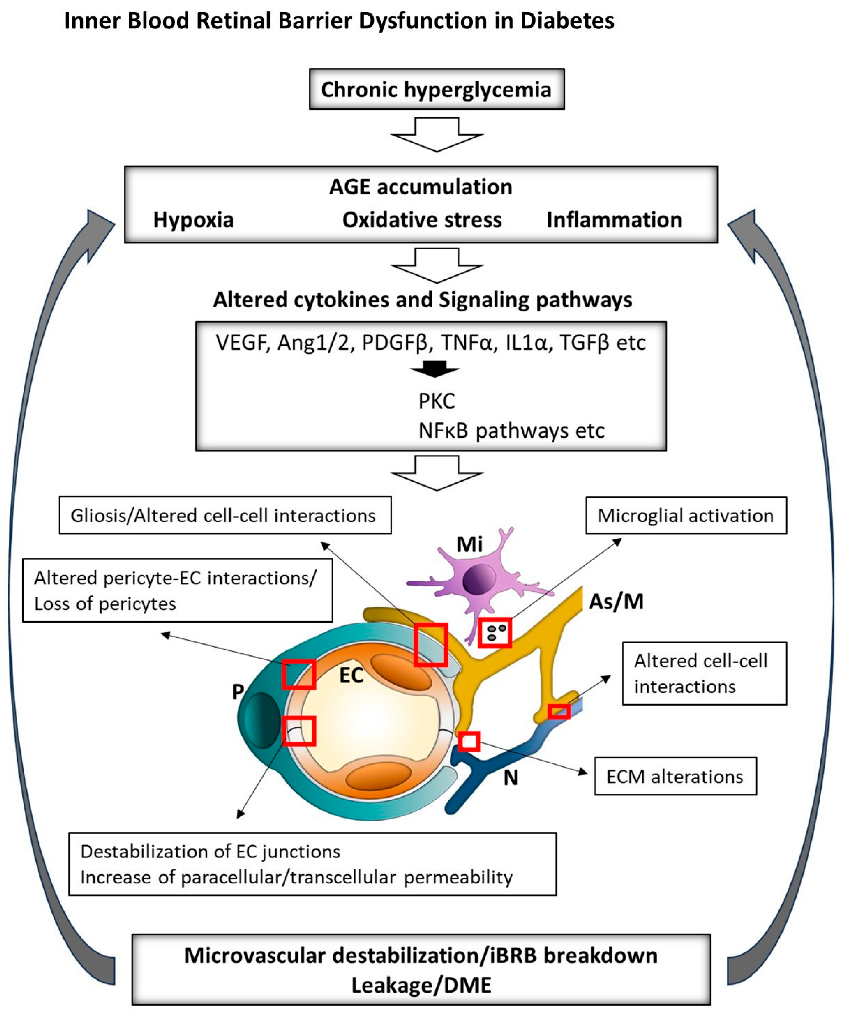 Pharmaceuticals 18 01374 g002