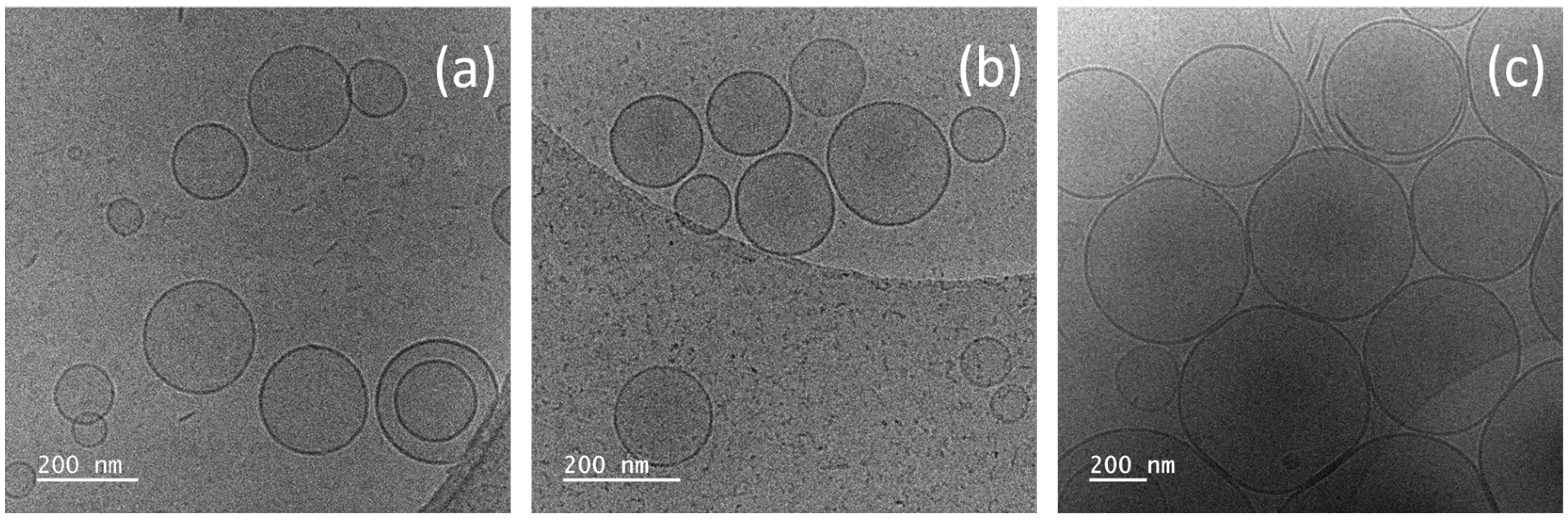 Pharmaceuticals 18 01375 g001