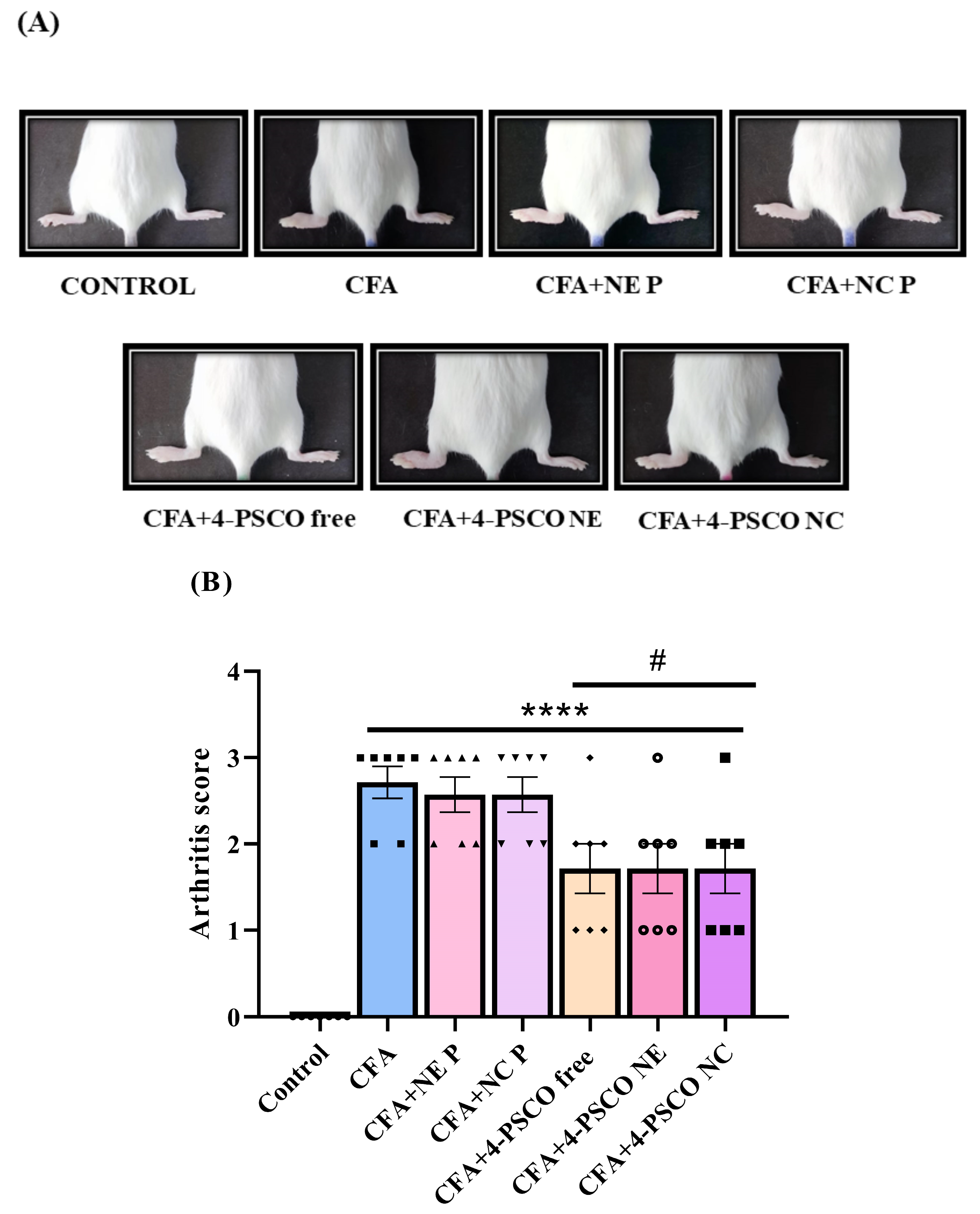 Pharmaceuticals 18 01379 g002 Pharmaceuticals 18 01379 g002