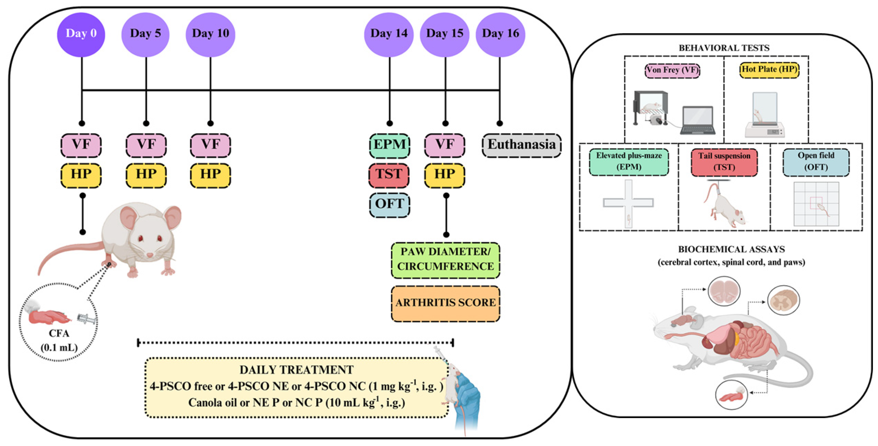 Pharmaceuticals 18 01379 g011 Pharmaceuticals 18 01379 g011