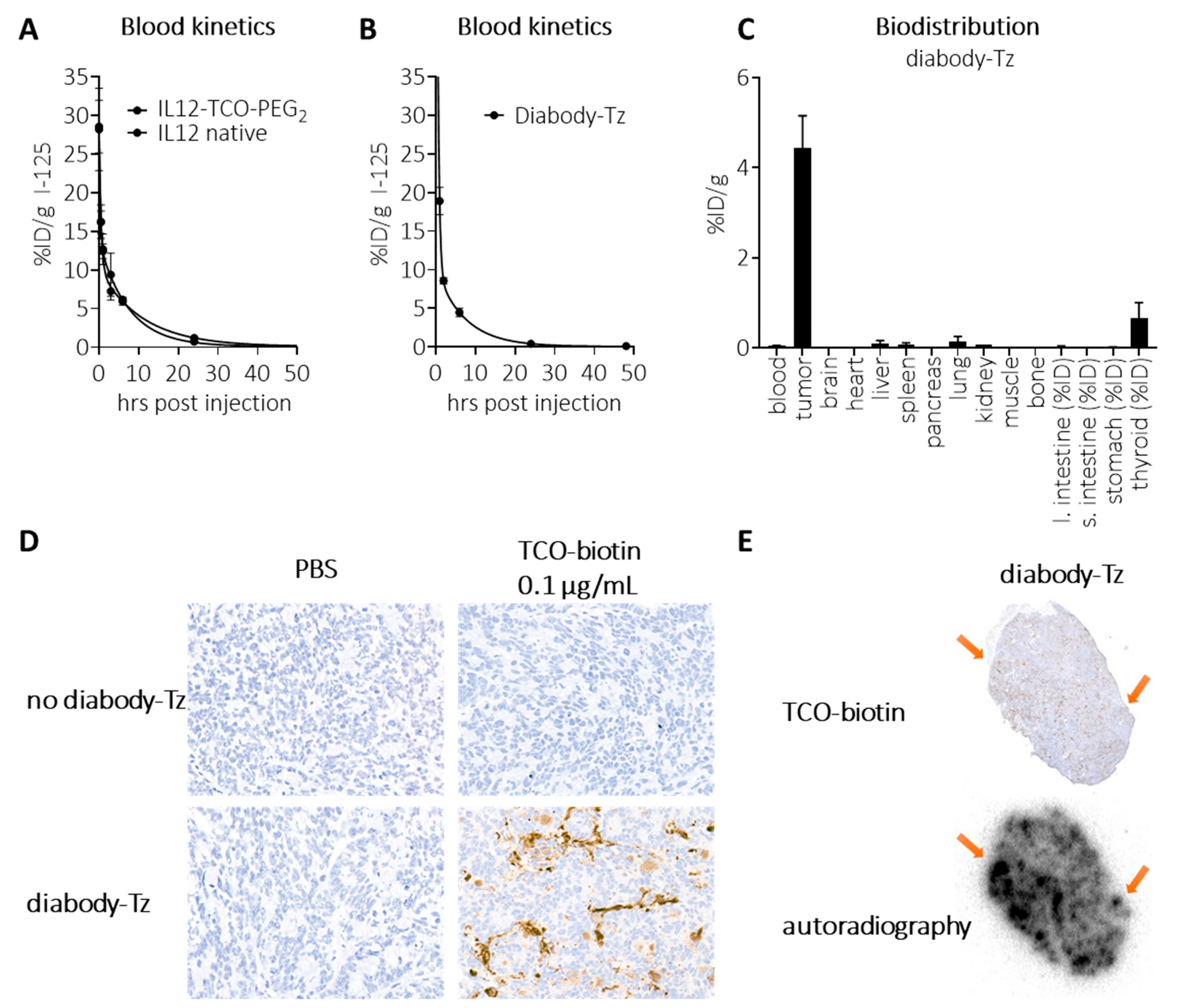 Pharmaceuticals 18 01380 g004