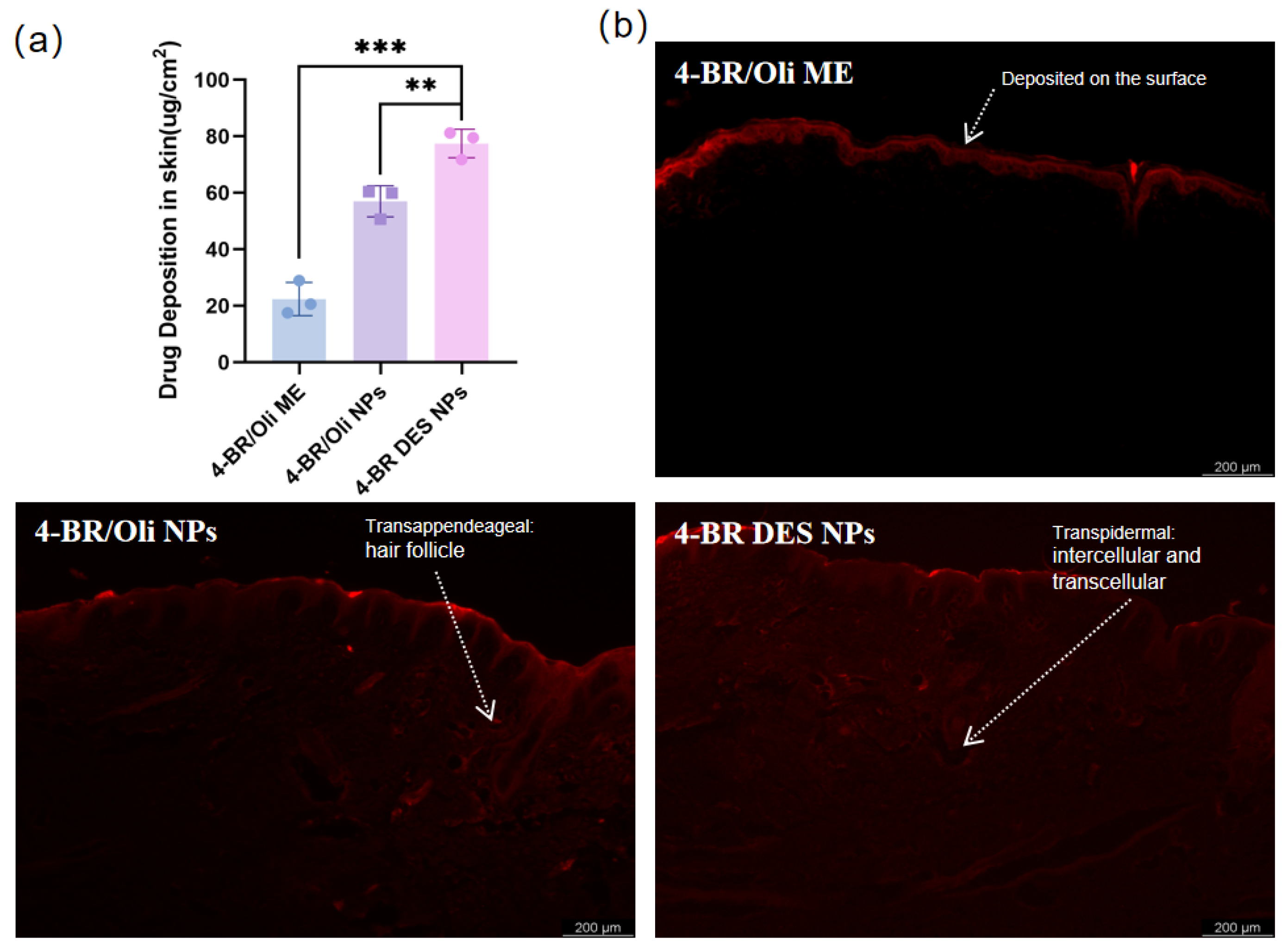 Pharmaceuticals 18 01383 g005