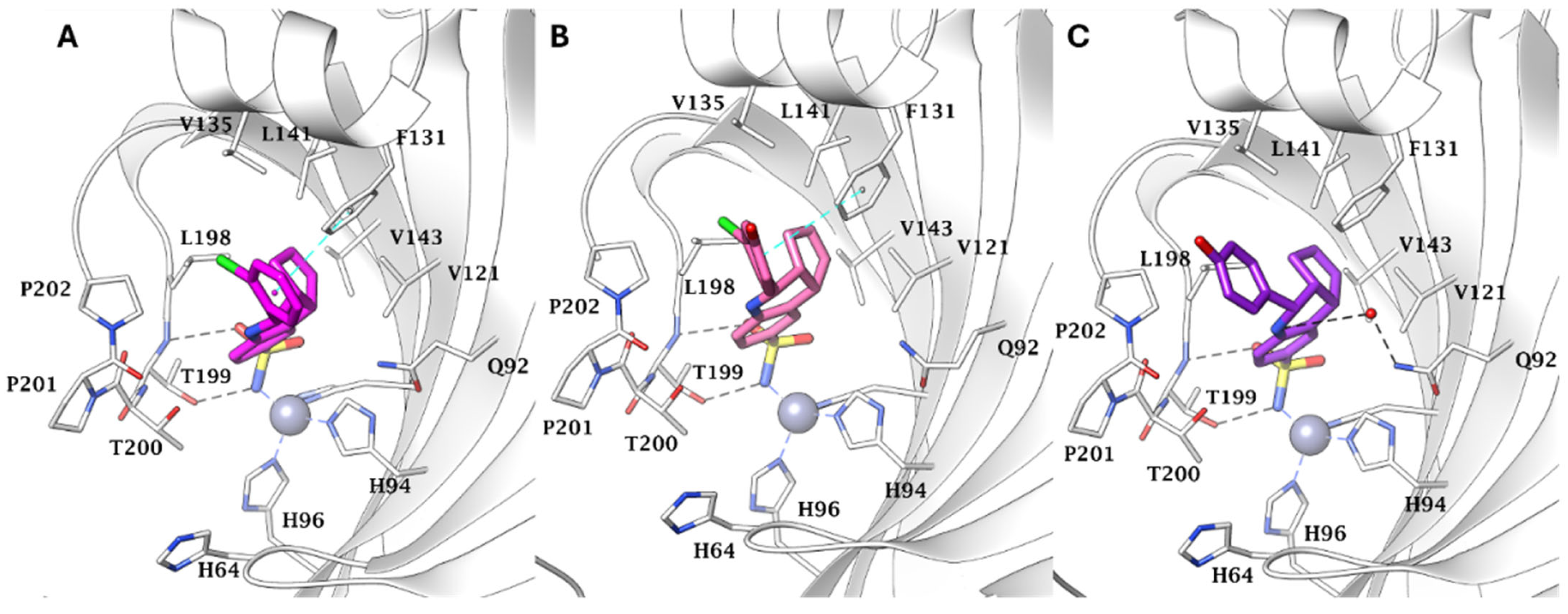 Pharmaceuticals 18 01387 g001 Pharmaceuticals 18 01387 g001