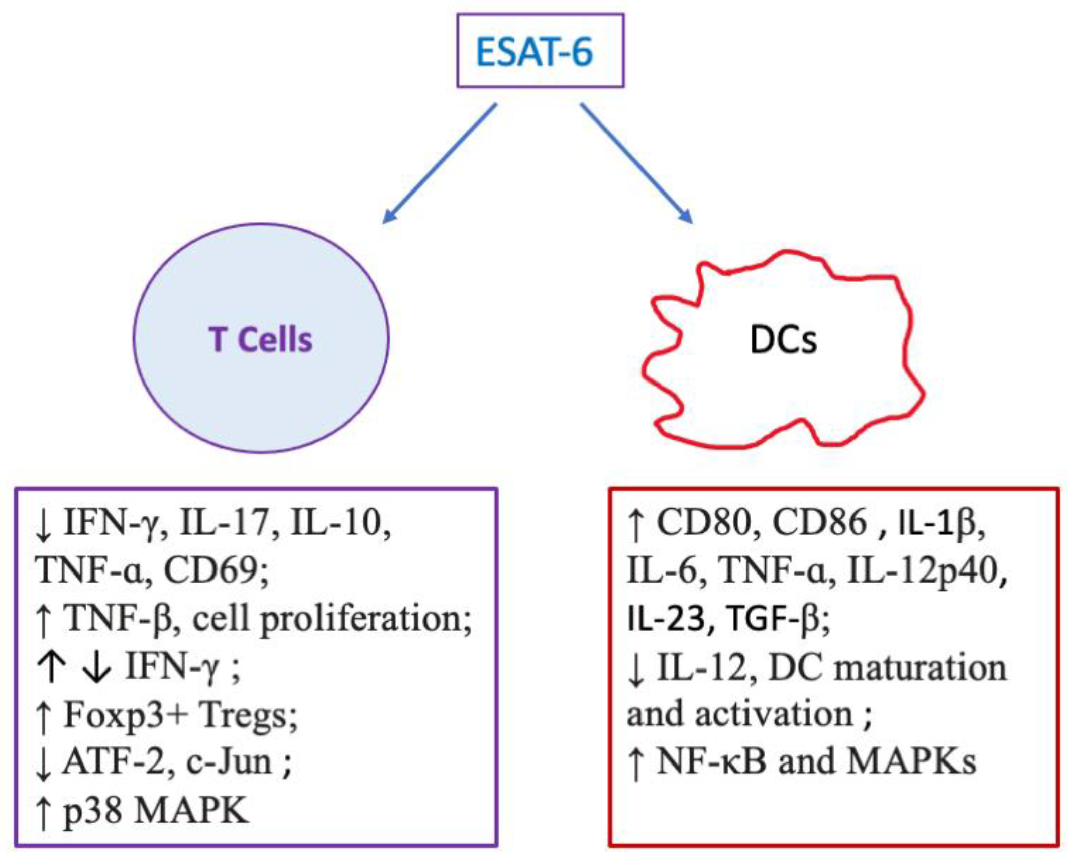 Pharmaceuticals 18 01408 g002