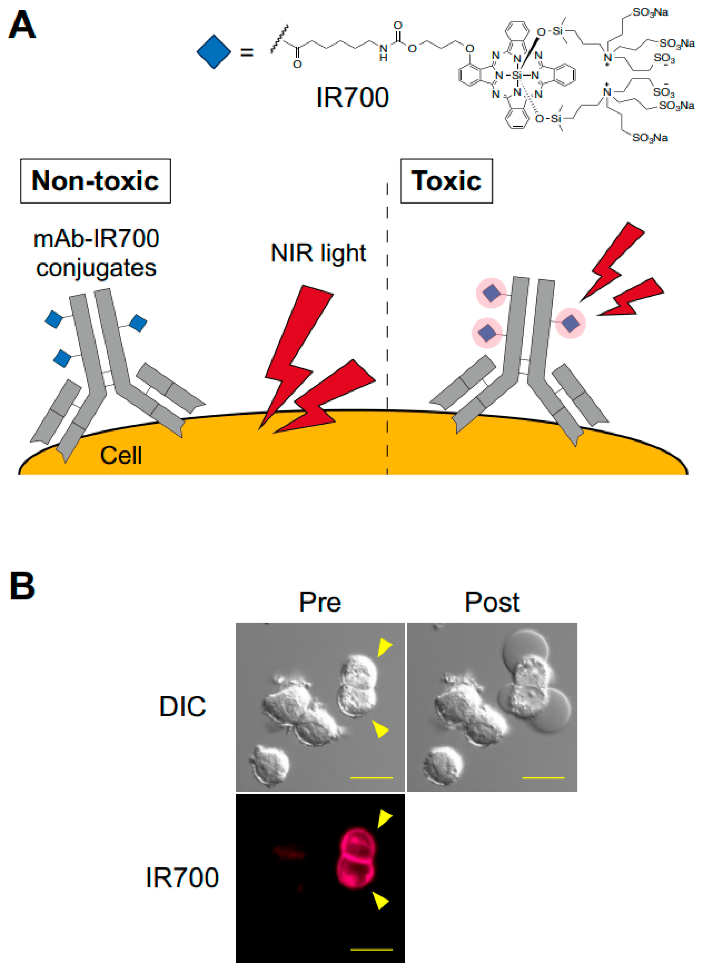 Pharmaceuticals 18 01419 g001