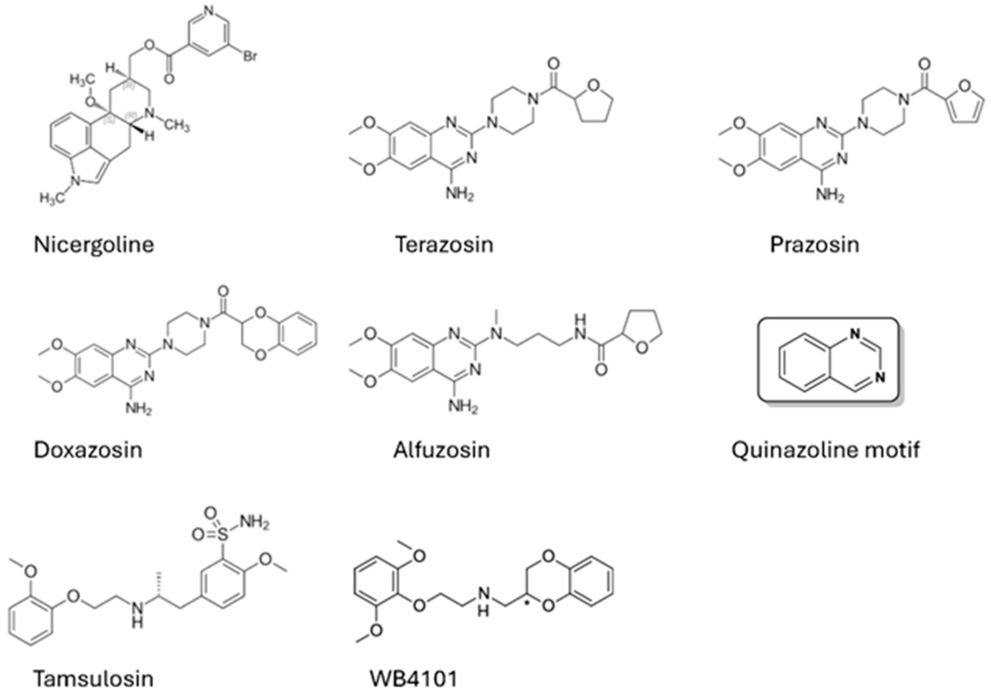 Pharmaceuticals 18 01425 g001 Pharmaceuticals 18 01425 g001