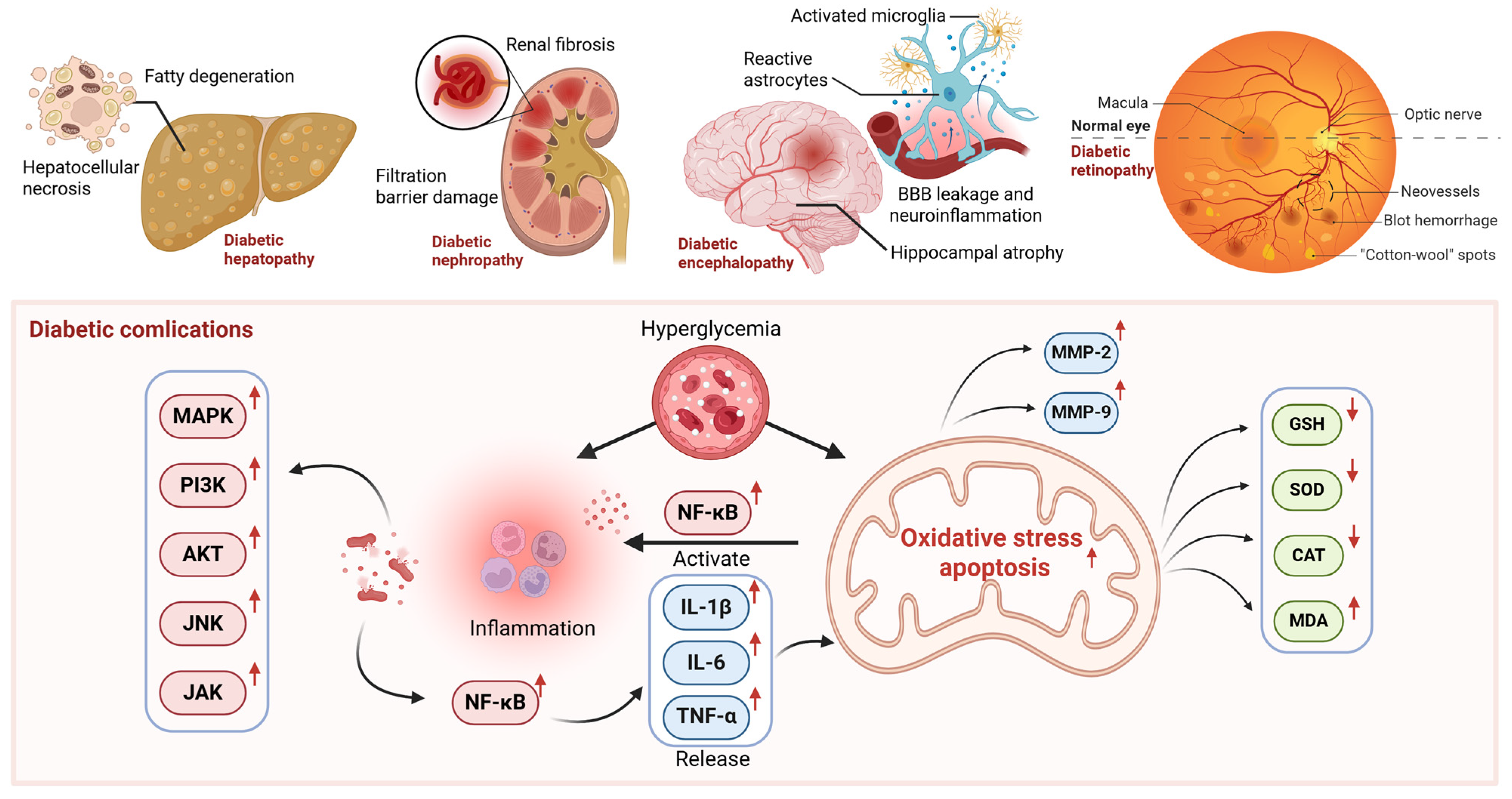 Pharmaceuticals 18 01528 g002 Pharmaceuticals 18 01528 g002