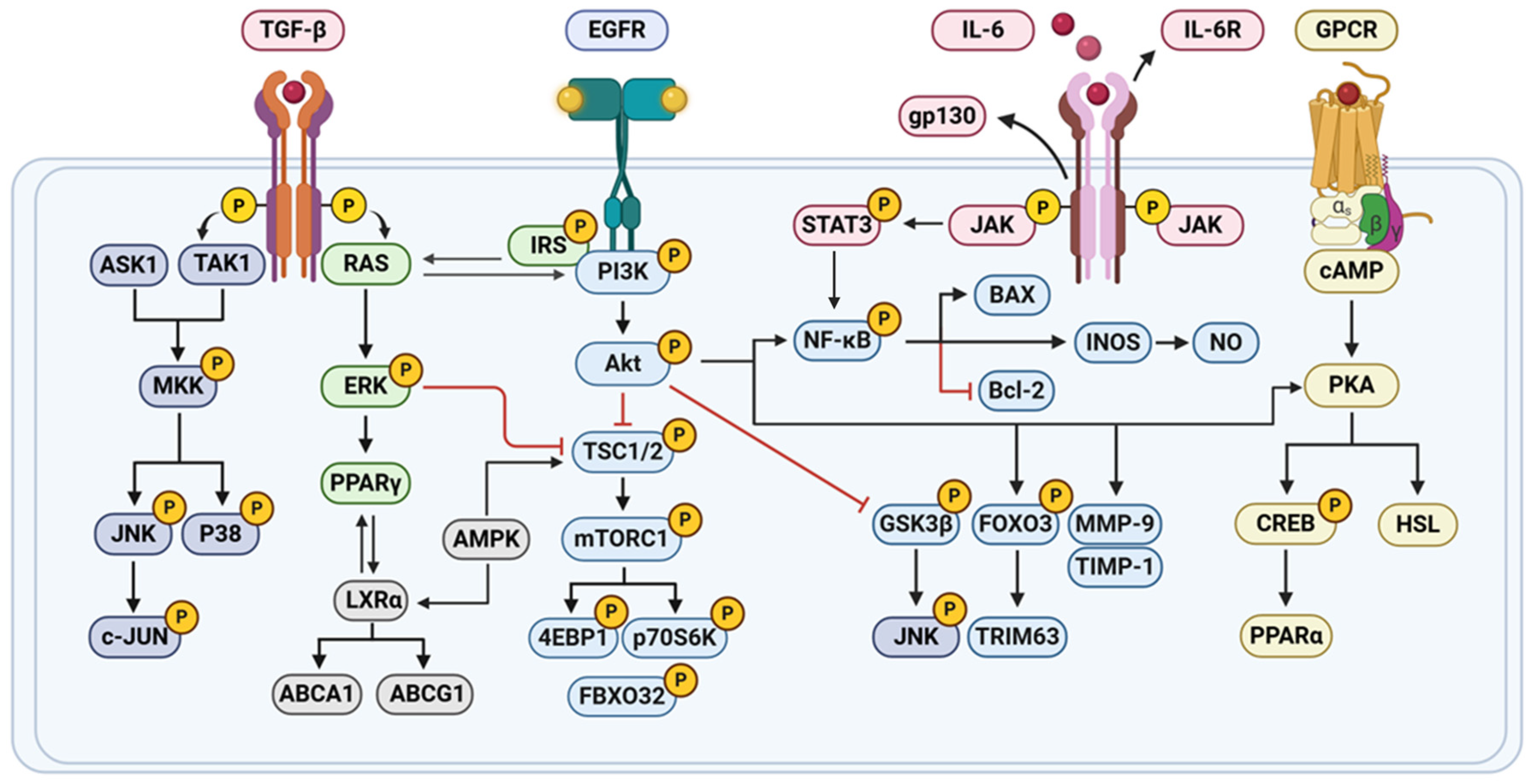 Pharmaceuticals 18 01528 g003 Pharmaceuticals 18 01528 g003