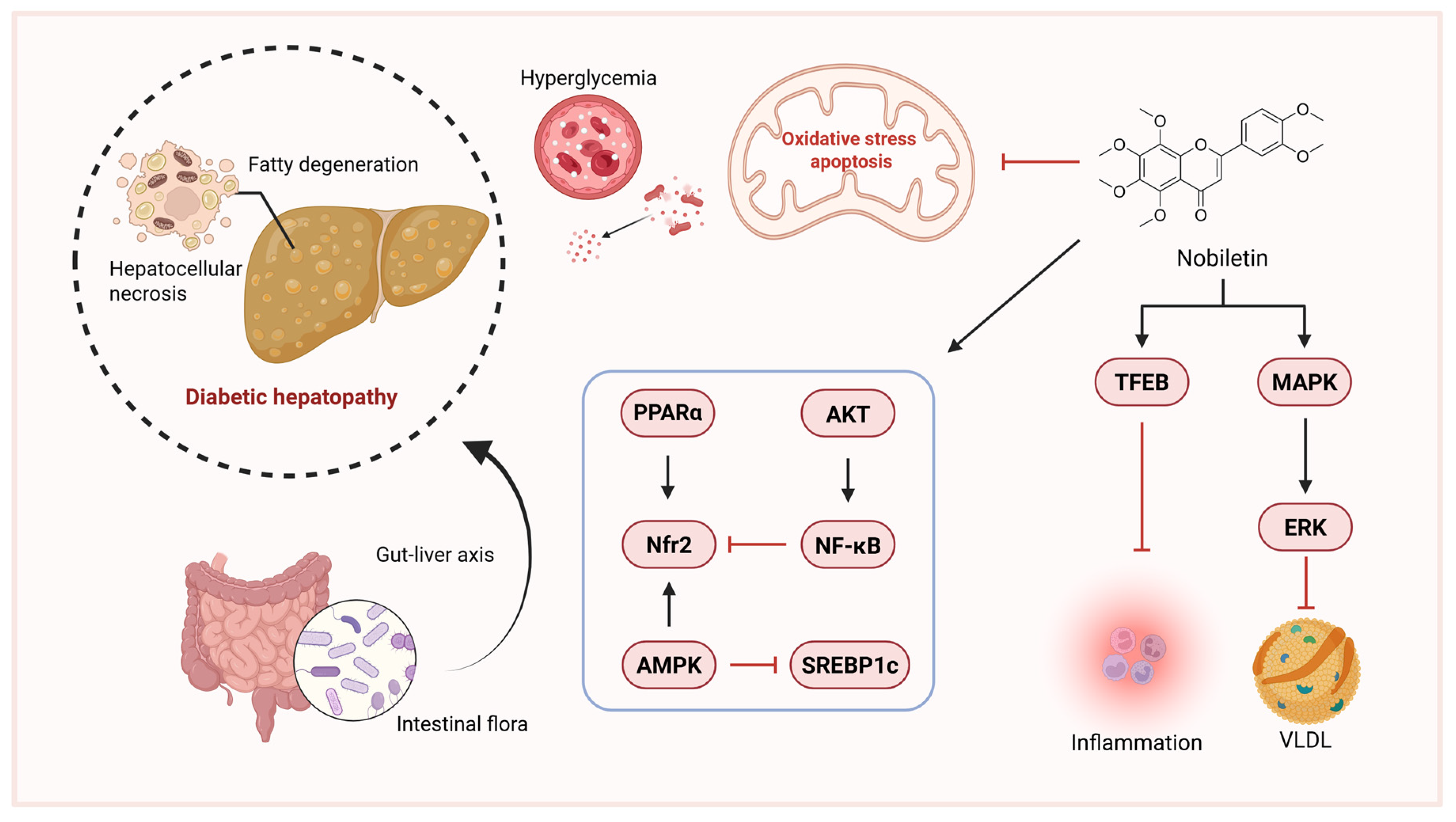 Pharmaceuticals 18 01528 g004 Pharmaceuticals 18 01528 g004