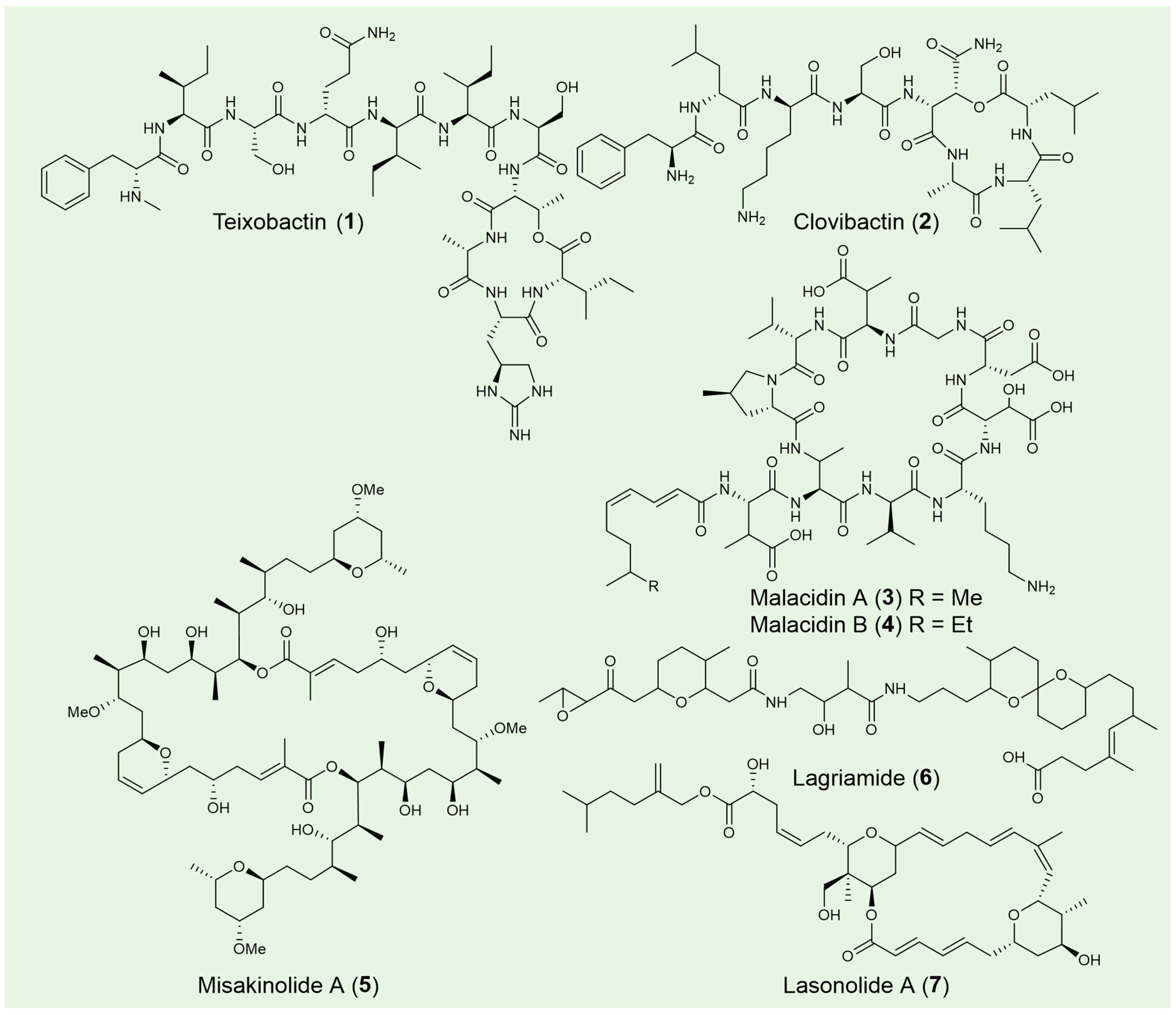 Pharmaceuticals 18 01583 g003 Pharmaceuticals 18 01583 g003