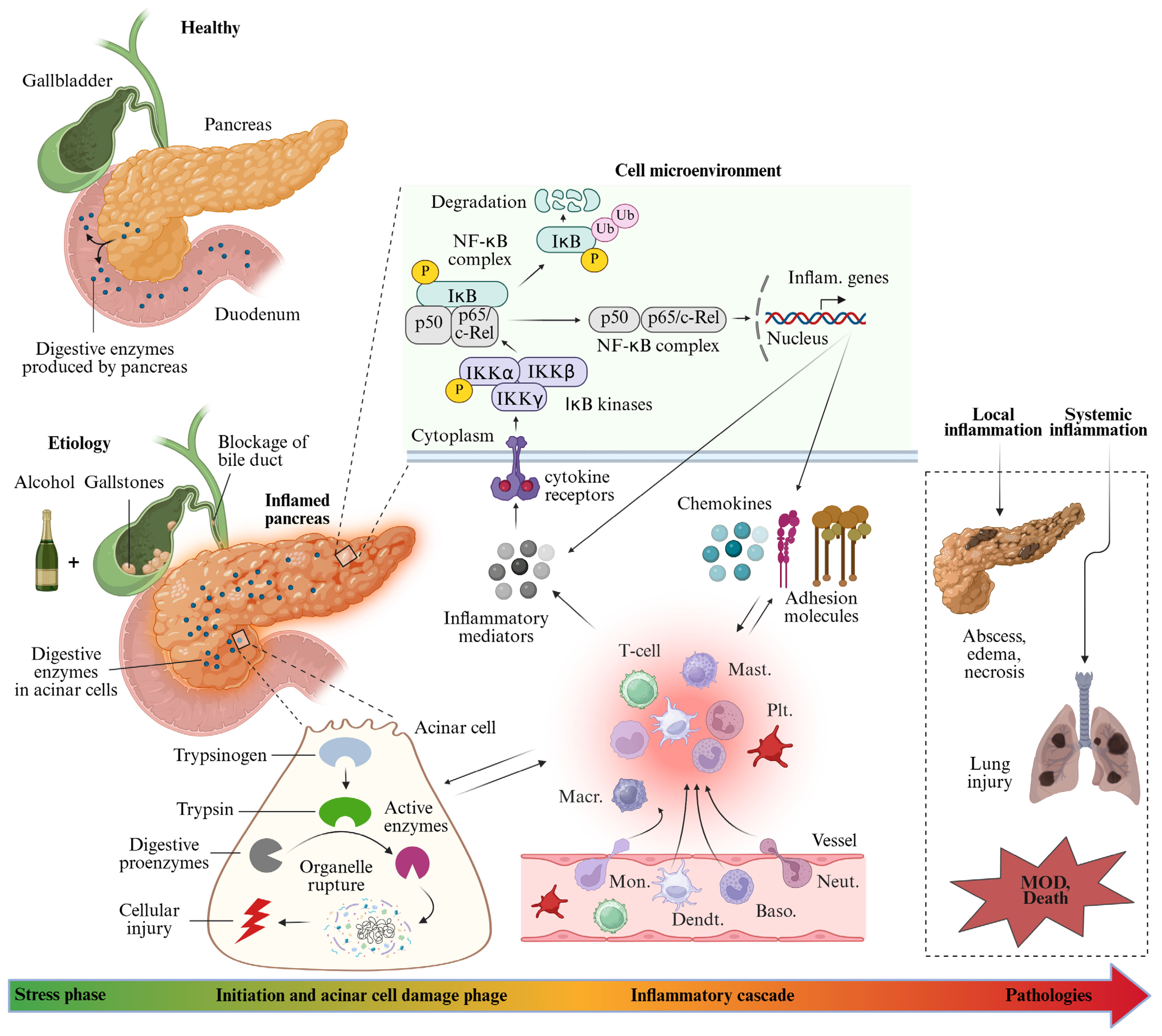 Pharmaceuticals 18 01621 g001