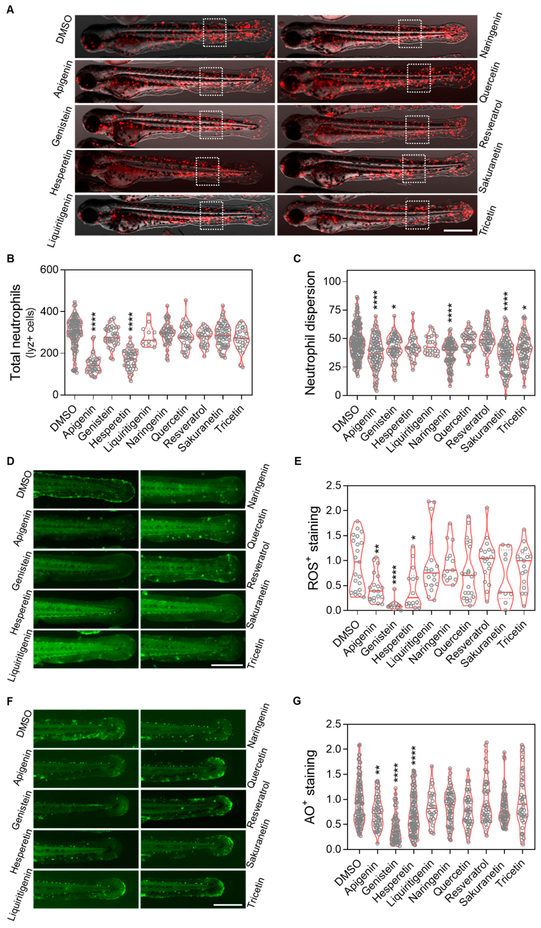 Pharmaceuticals 18 01630 g005