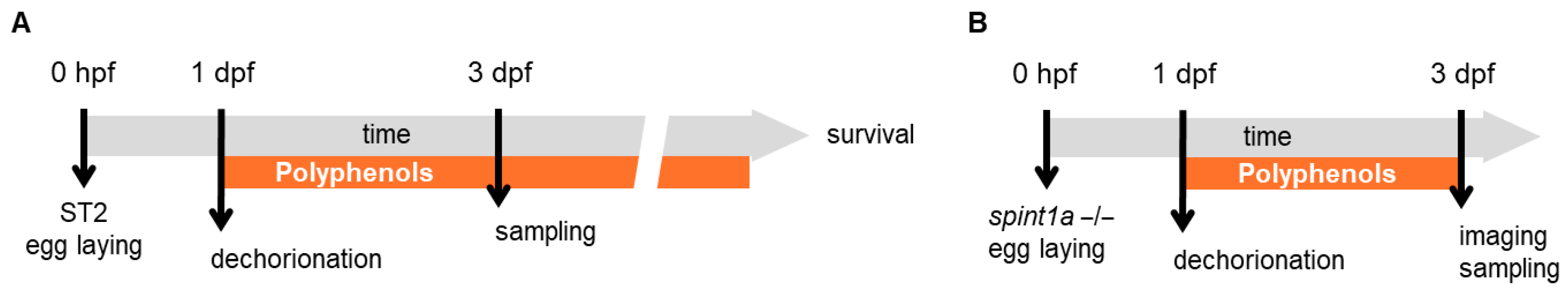 Pharmaceuticals 18 01630 g0a1