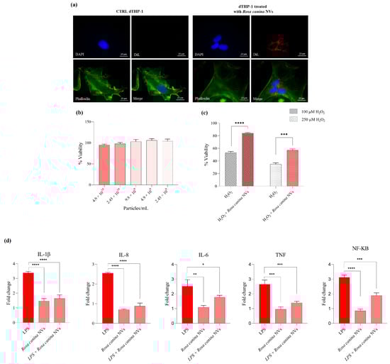 Pharmaceuticals 18 01672 g002