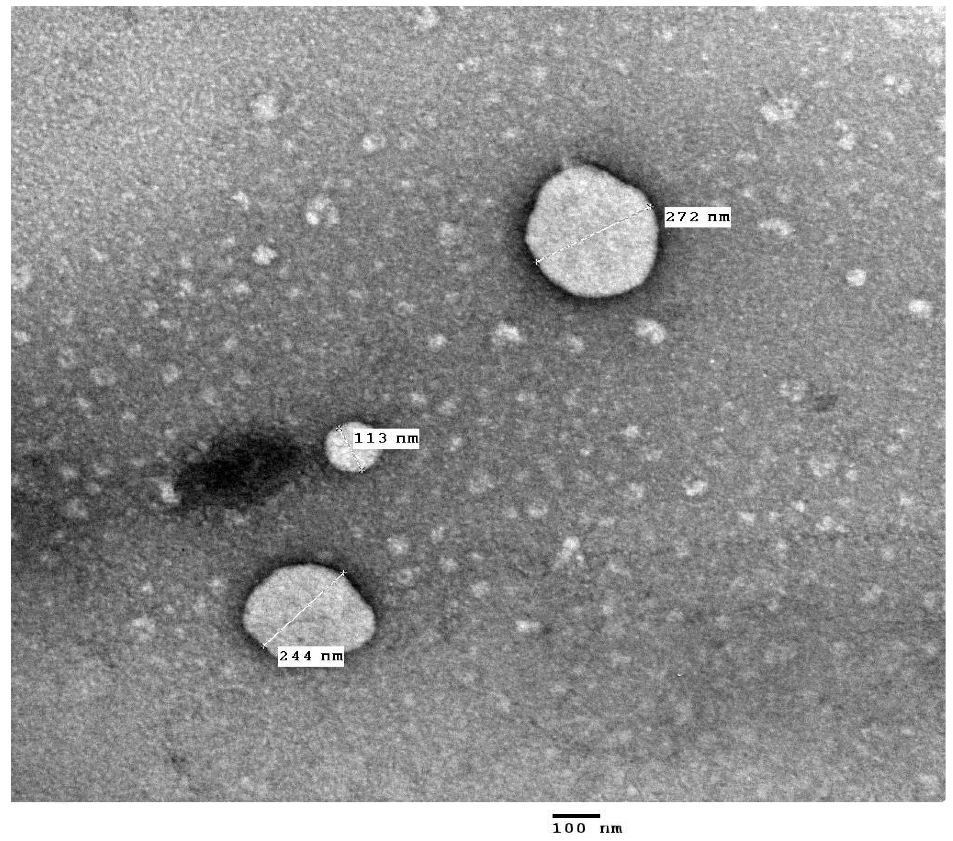 Pharmaceuticals 18 01818 g003