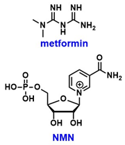 Pharmaceuticals 18 01859 i003