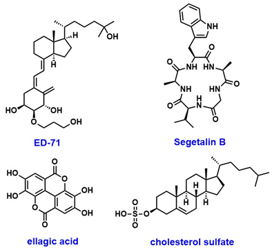 Pharmaceuticals 18 01859 i007