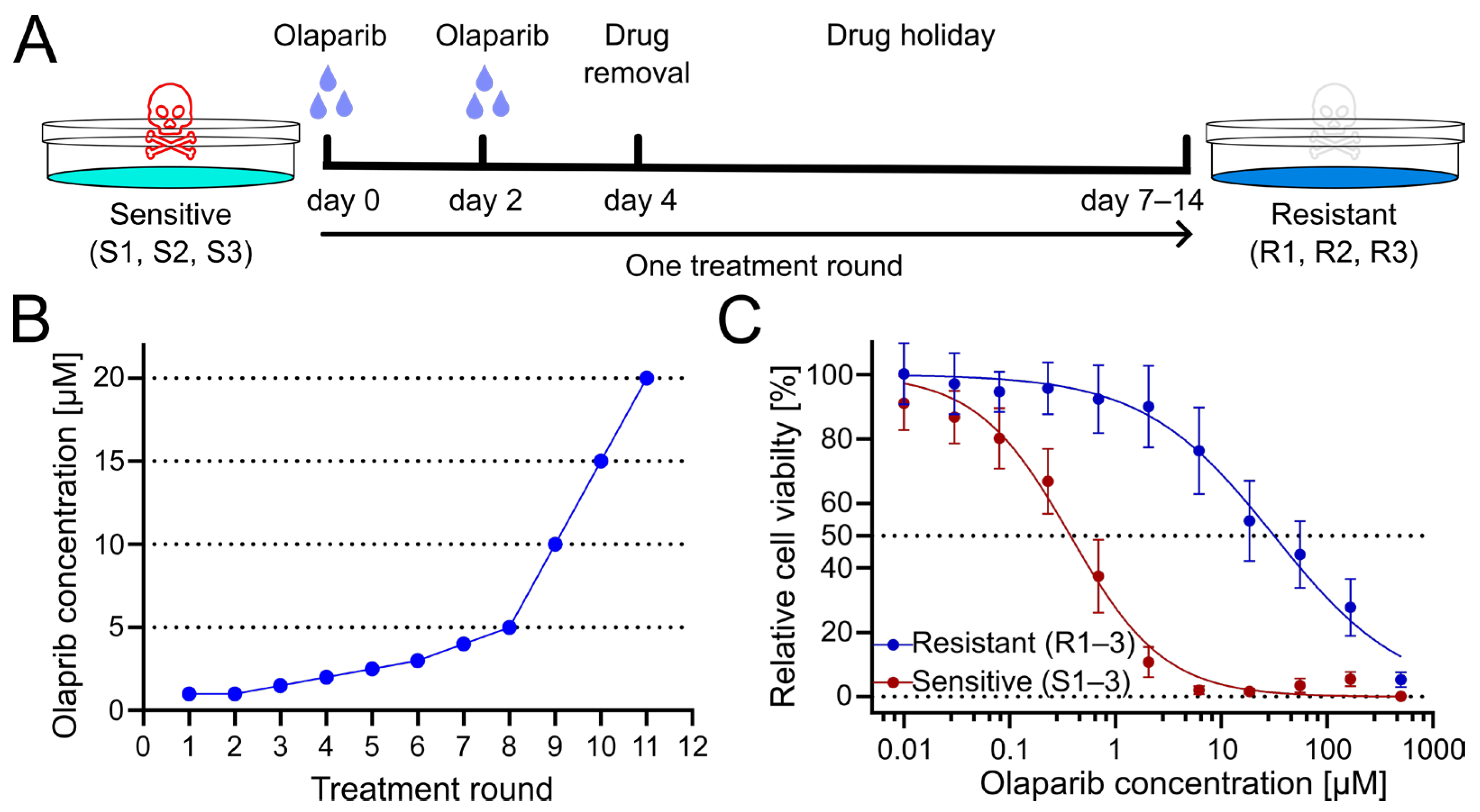 Pharmaceuticals 18 01870 g001 Pharmaceuticals 18 01870 g001