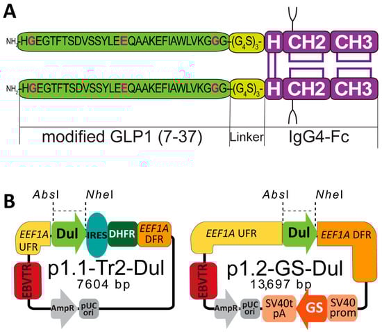 Pharmaceuticals 18 01896 g001