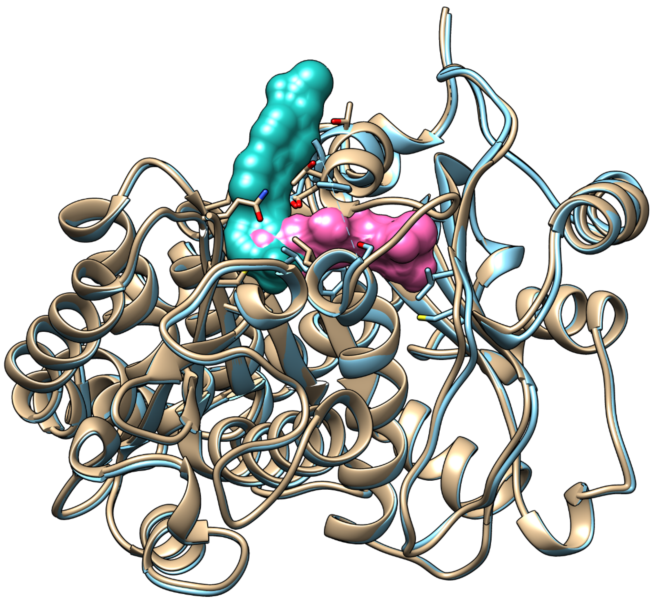 Pharmaceuticals 19 00003 g001 Pharmaceuticals 19 00003 g001