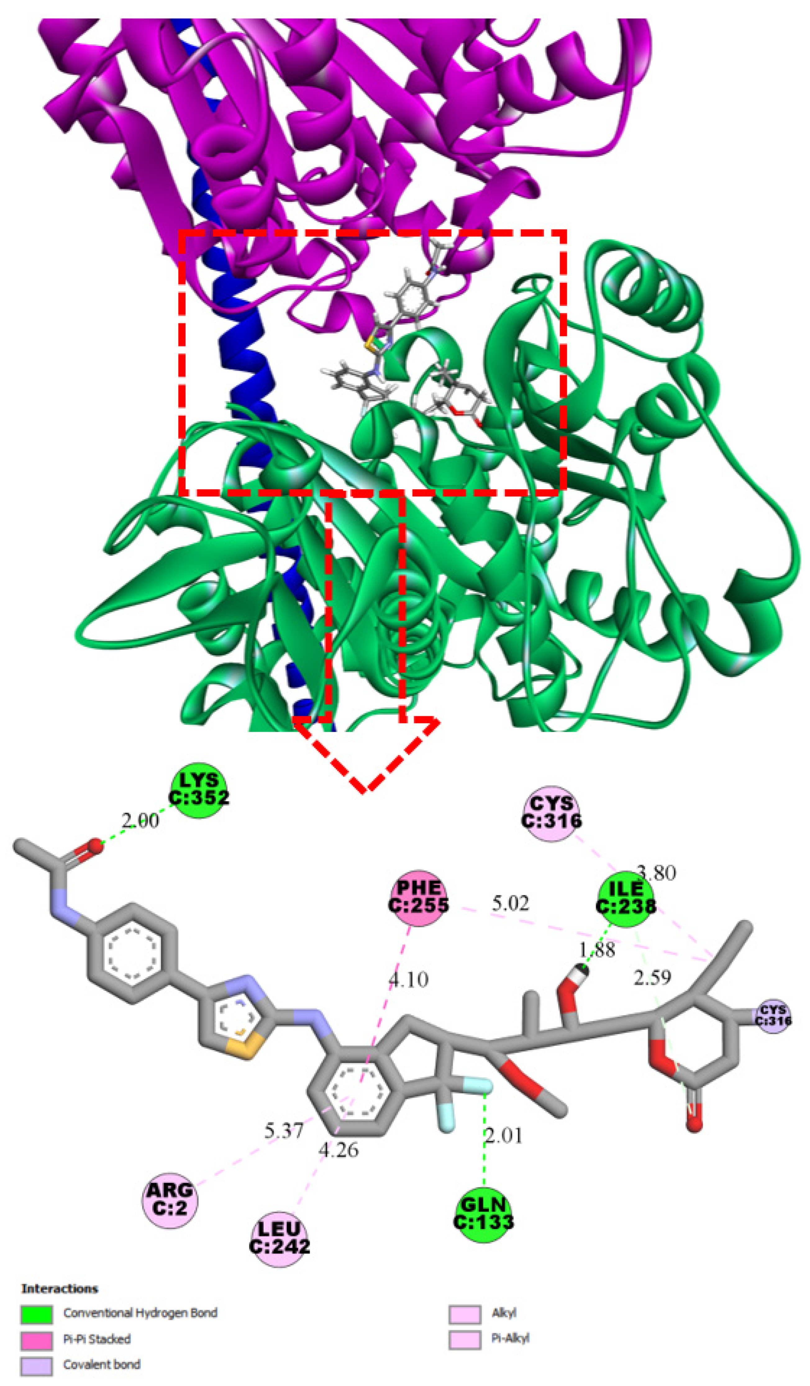 Pharmaceuticals 19 00003 g004 Pharmaceuticals 19 00003 g004