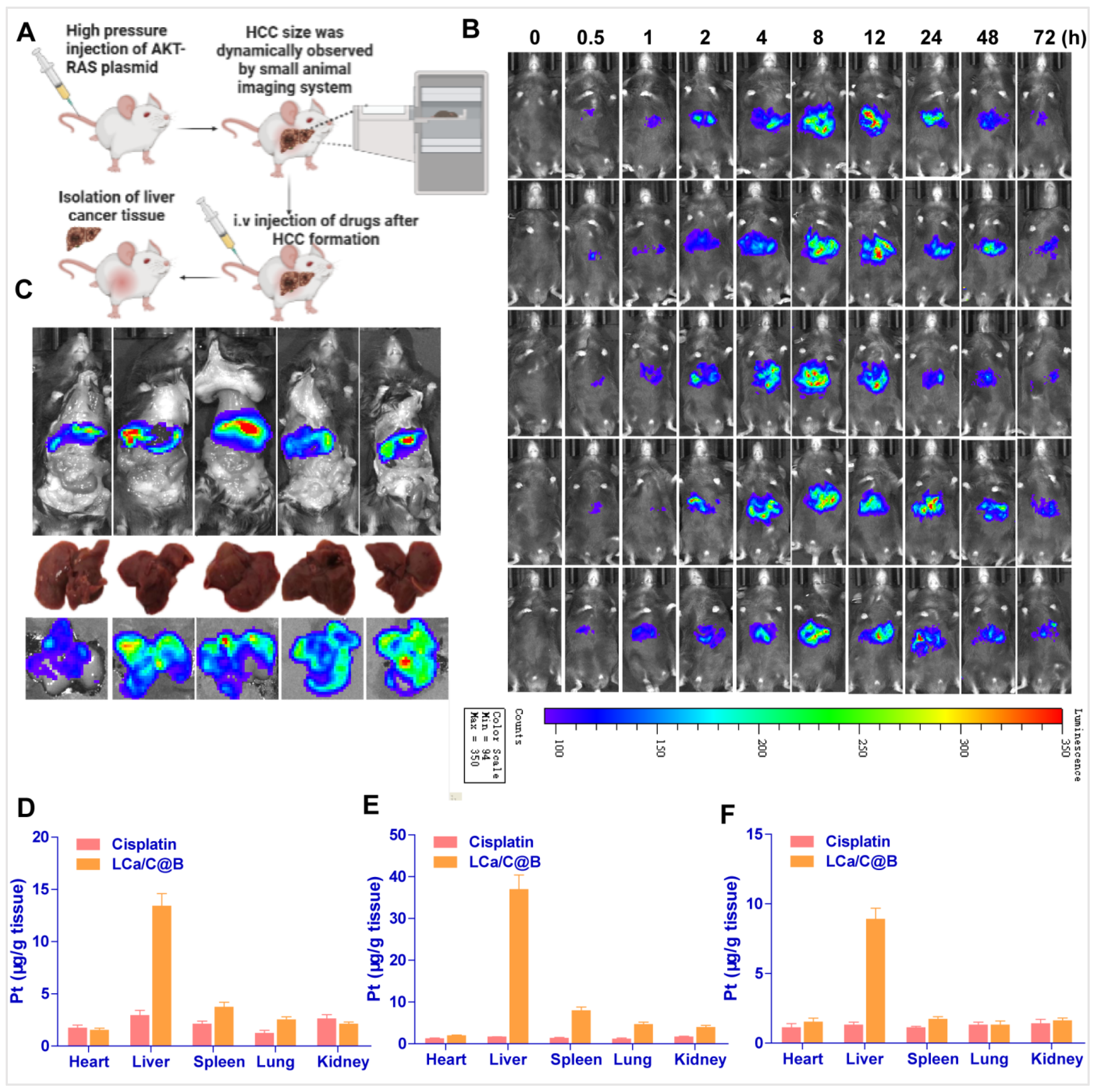 Pharmaceuticals 19 00022 g005