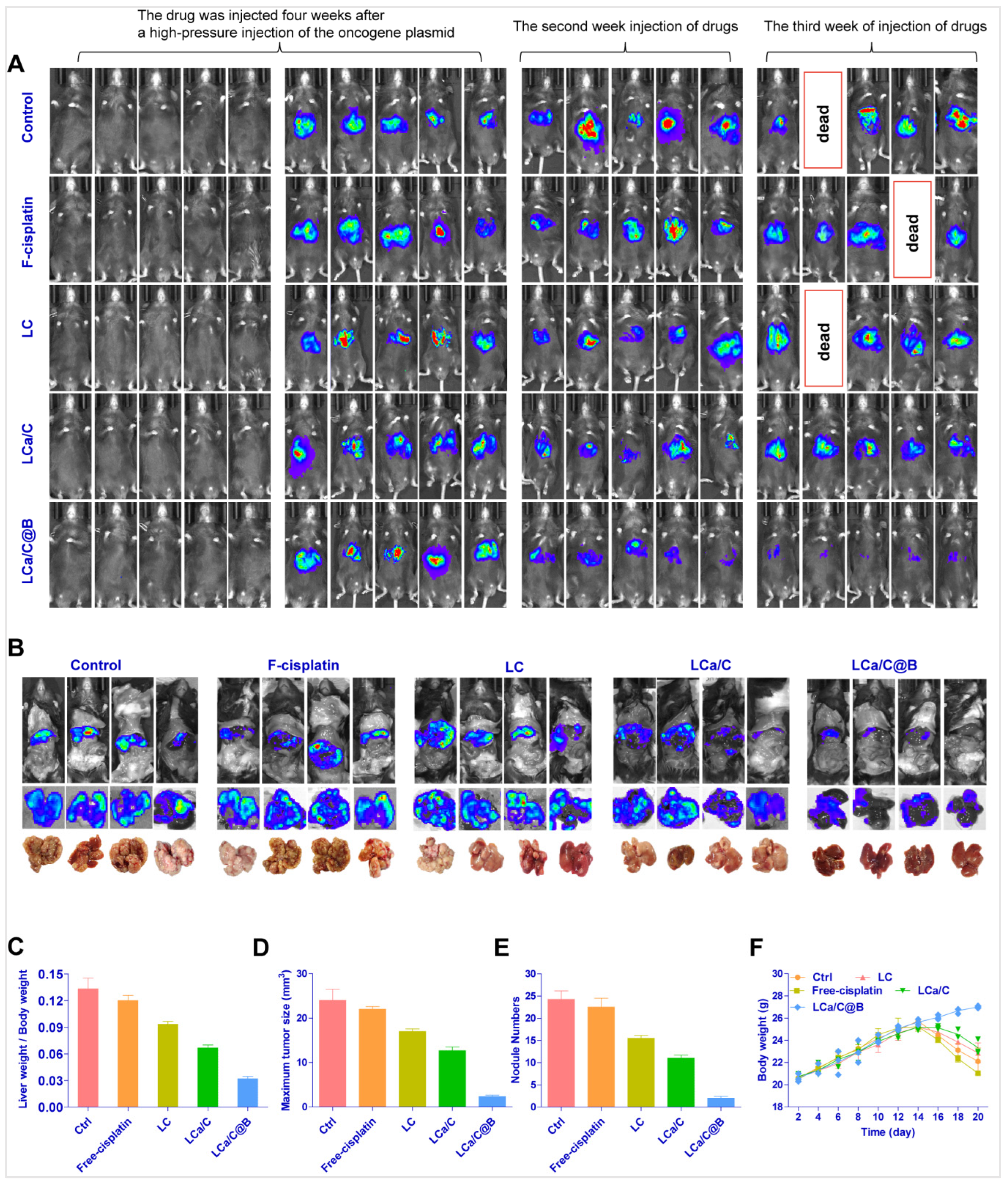 Pharmaceuticals 19 00022 g006