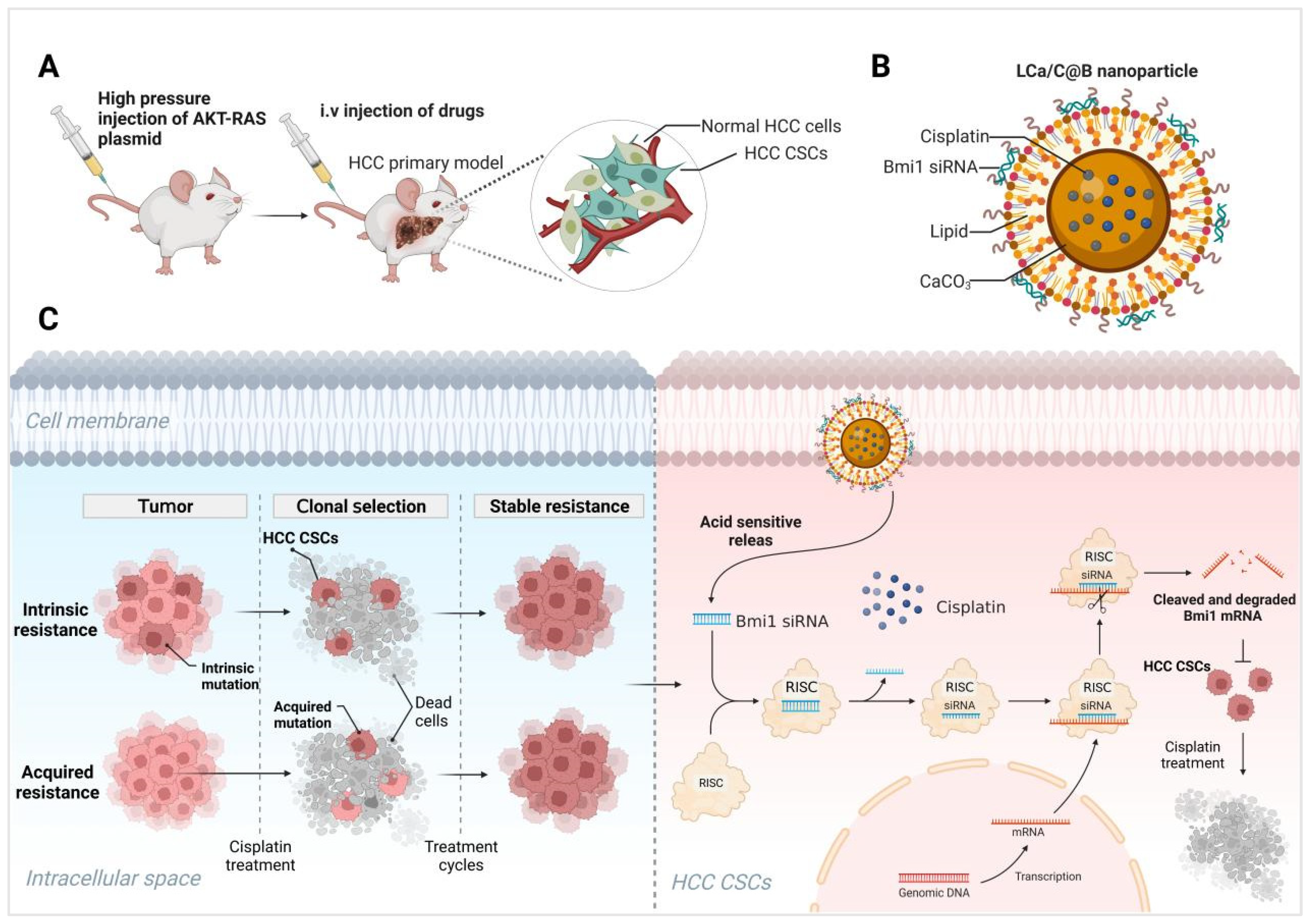 Pharmaceuticals 19 00022 sch001