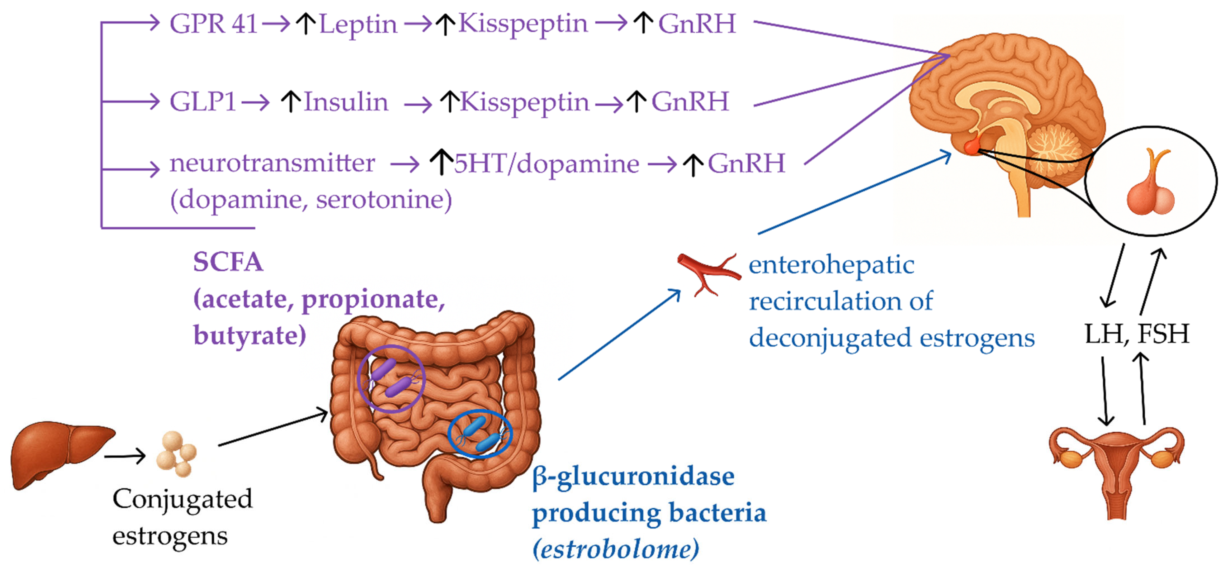 Pharmaceuticals 19 00049 g002