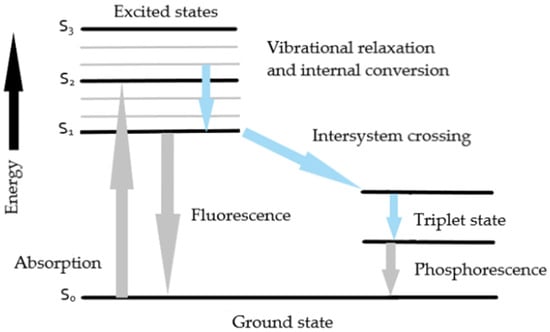 Jabłoński diagram showing the mechanism of fluorescence and phosphorescence.