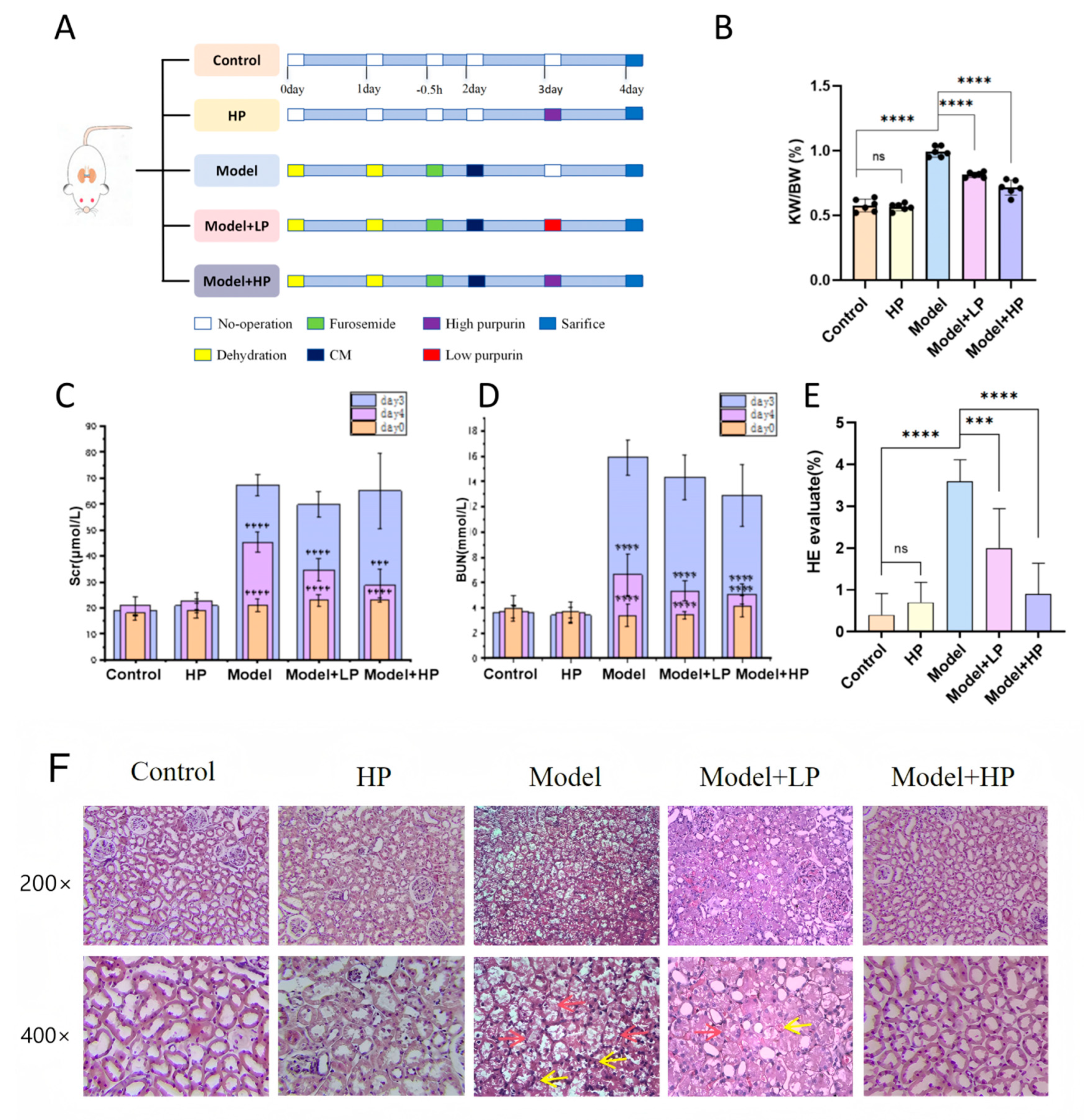Pharmaceuticals 19 00116 g004a Pharmaceuticals 19 00116 g004a