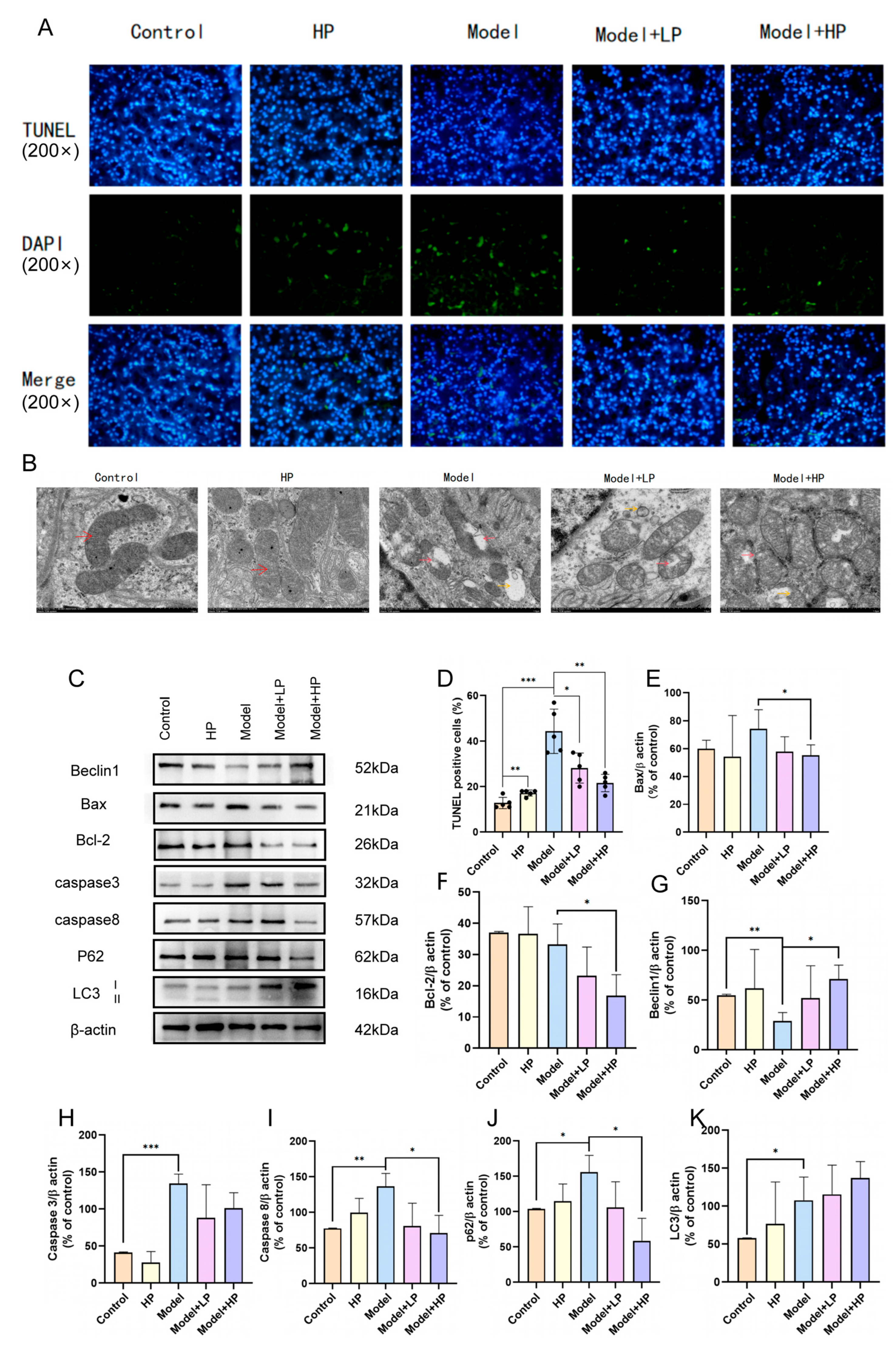 Pharmaceuticals 19 00116 g005 Pharmaceuticals 19 00116 g005