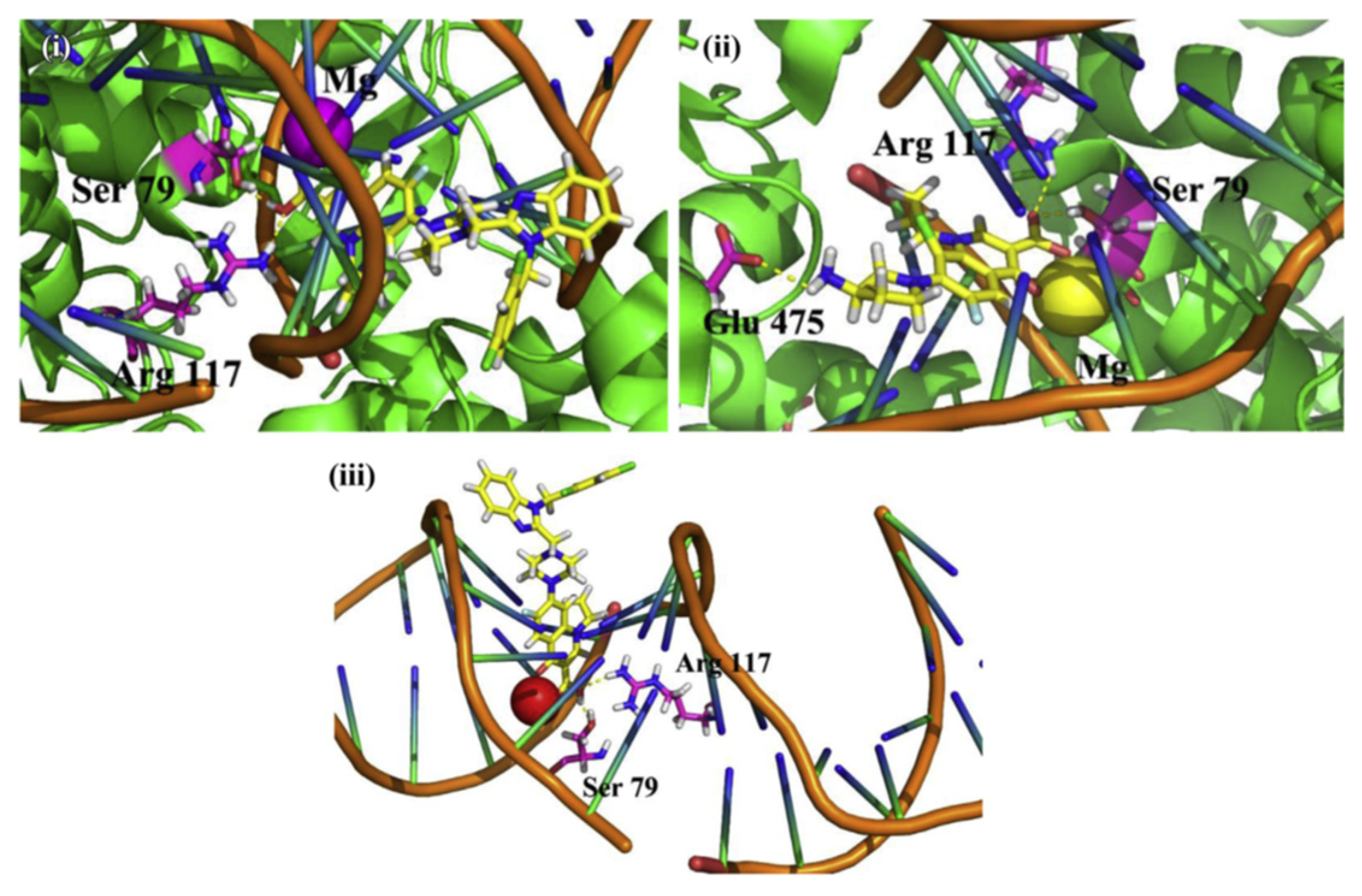 Pharmaceuticals 19 00180 g012