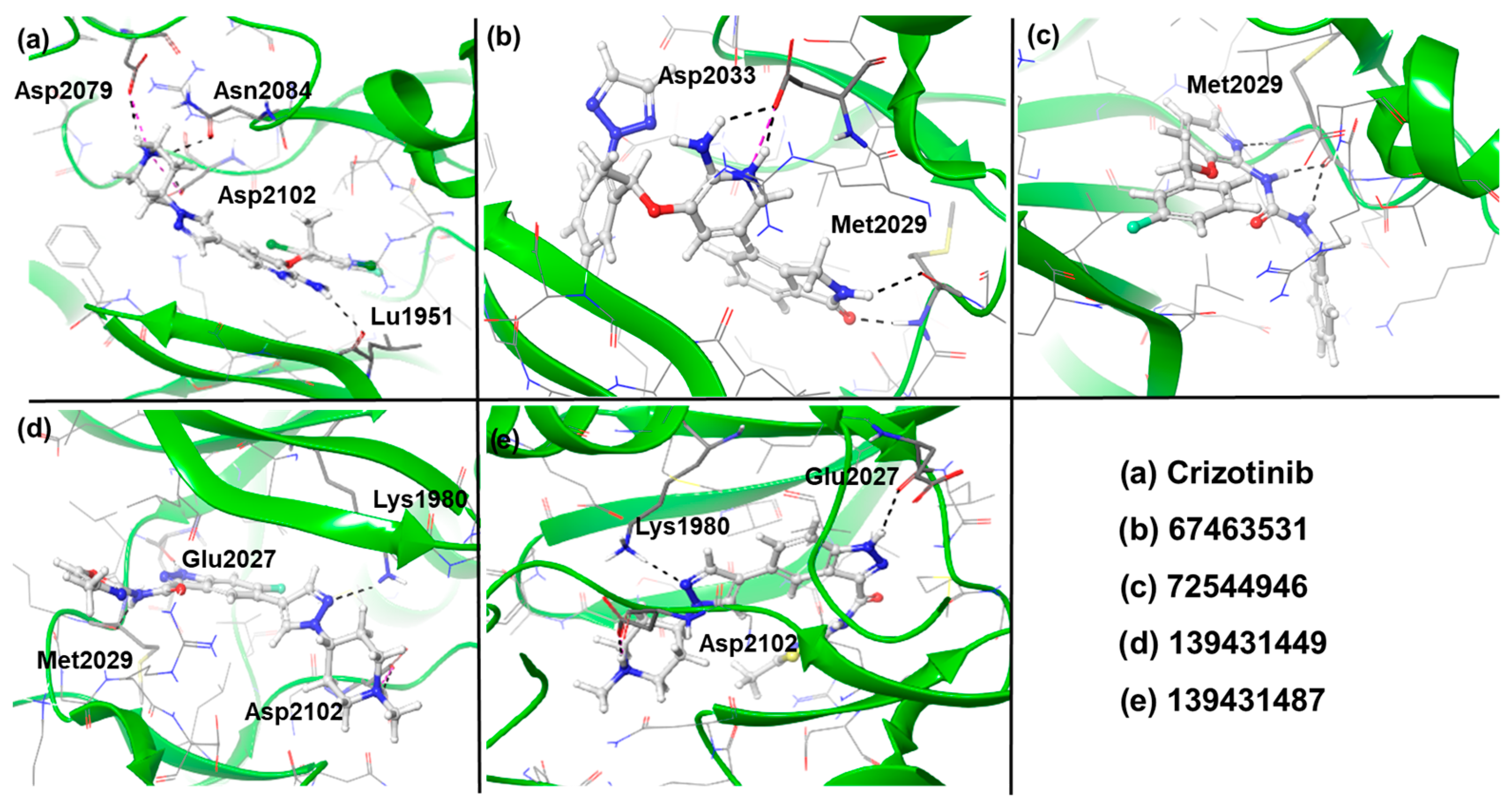 Pharmaceuticals 19 00229 g003