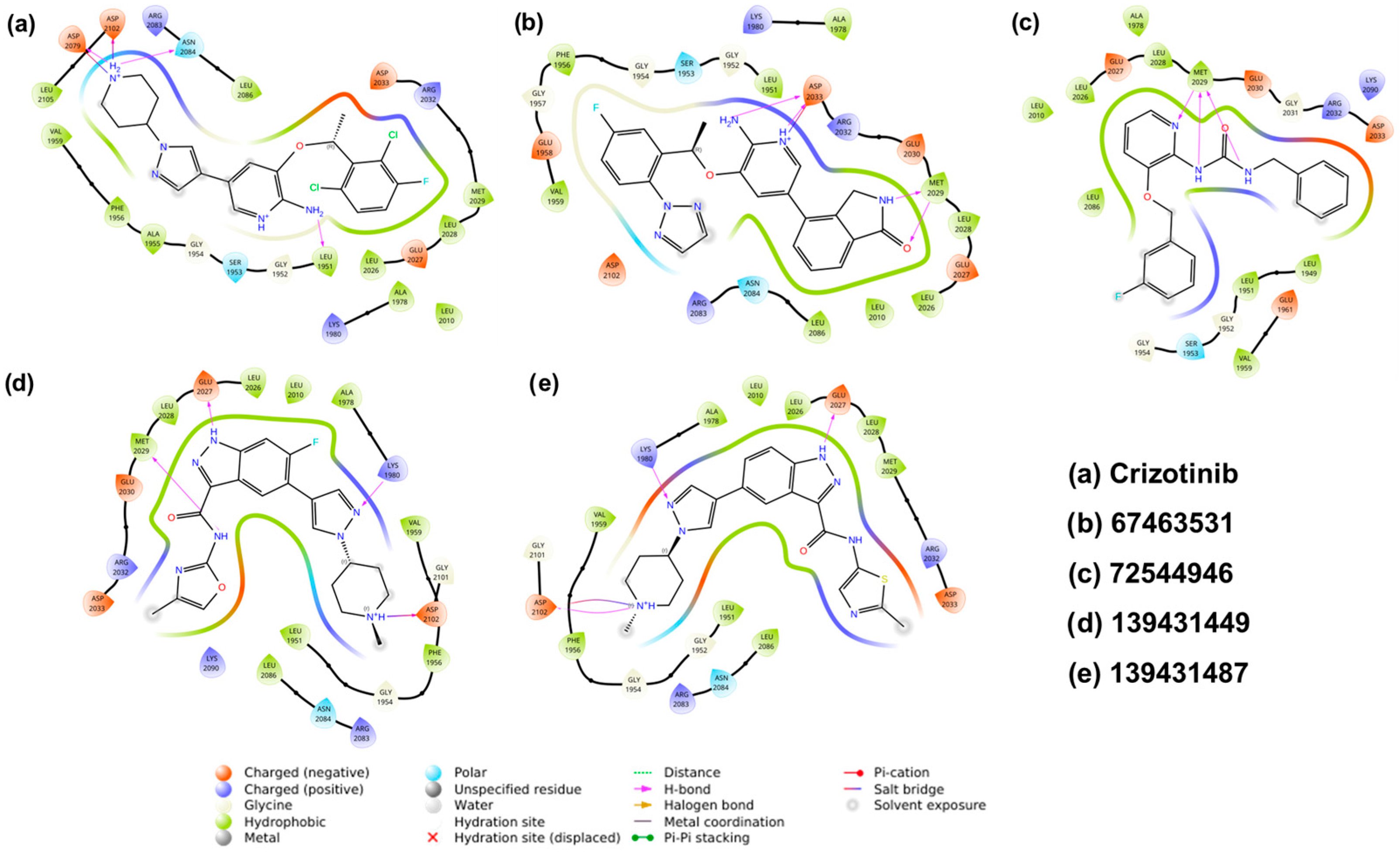 Pharmaceuticals 19 00229 g004