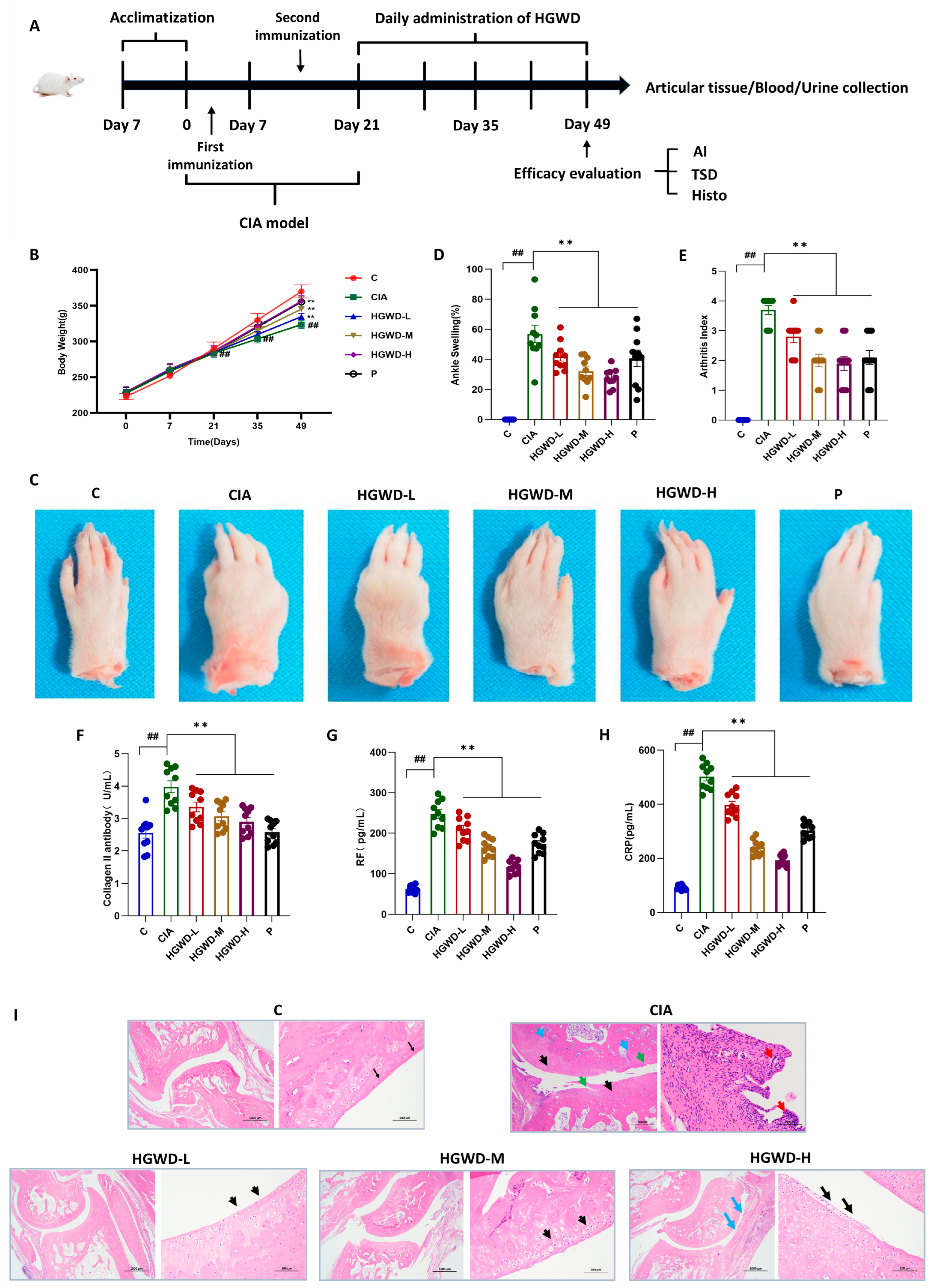 Pharmaceuticals 19 00236 g001 Pharmaceuticals 19 00236 g001