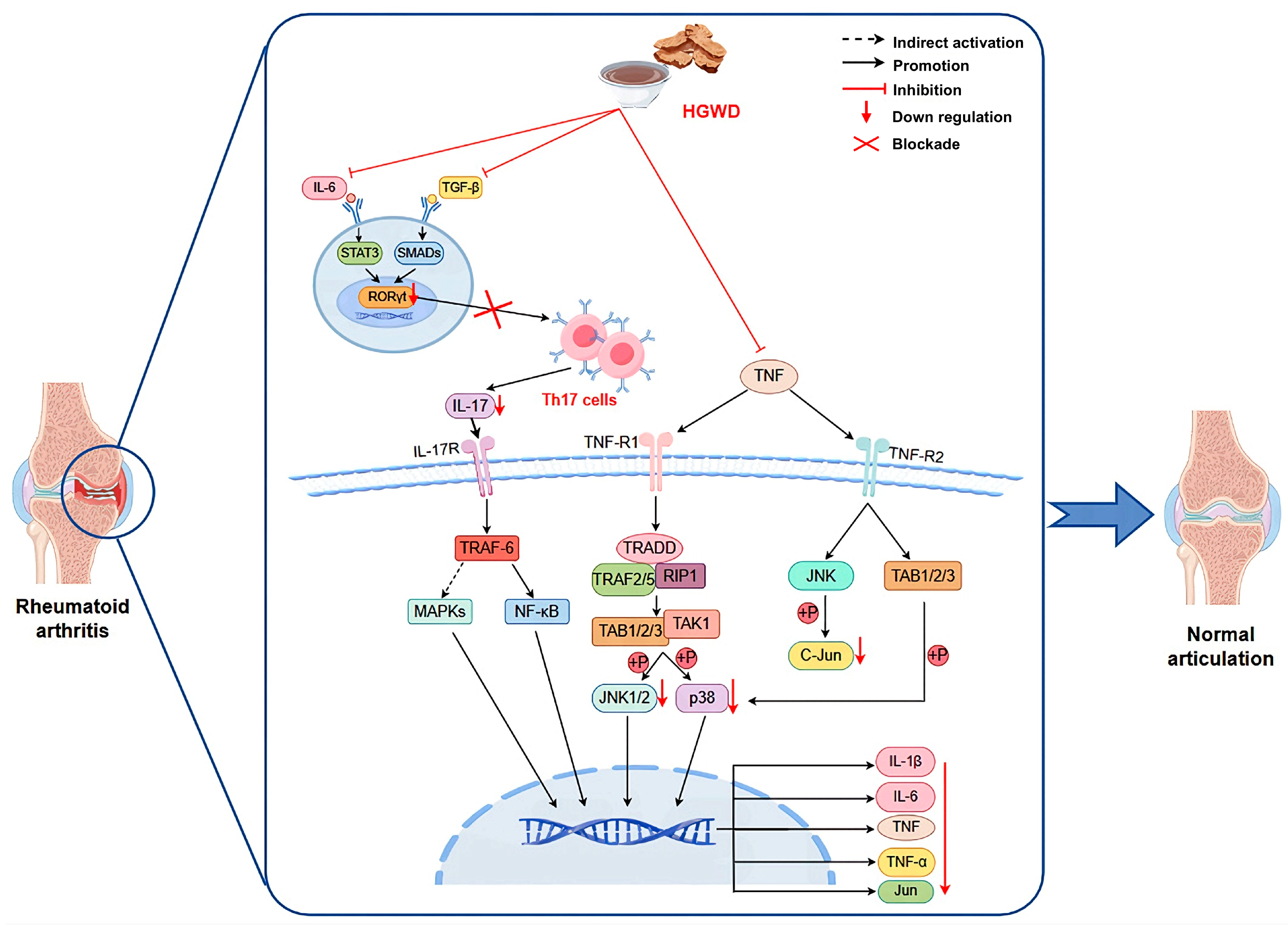 Pharmaceuticals 19 00236 g007 Pharmaceuticals 19 00236 g007