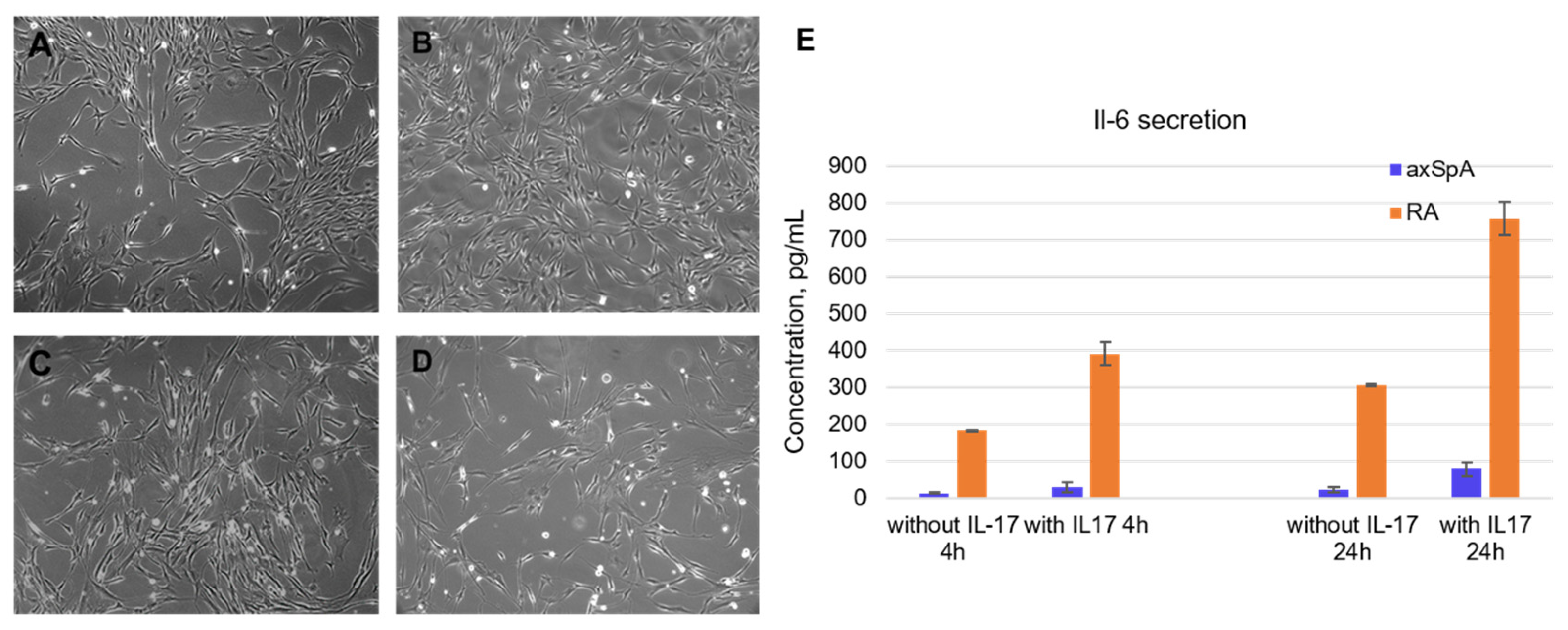 Pharmaceuticals 19 00238 g002 Pharmaceuticals 19 00238 g002
