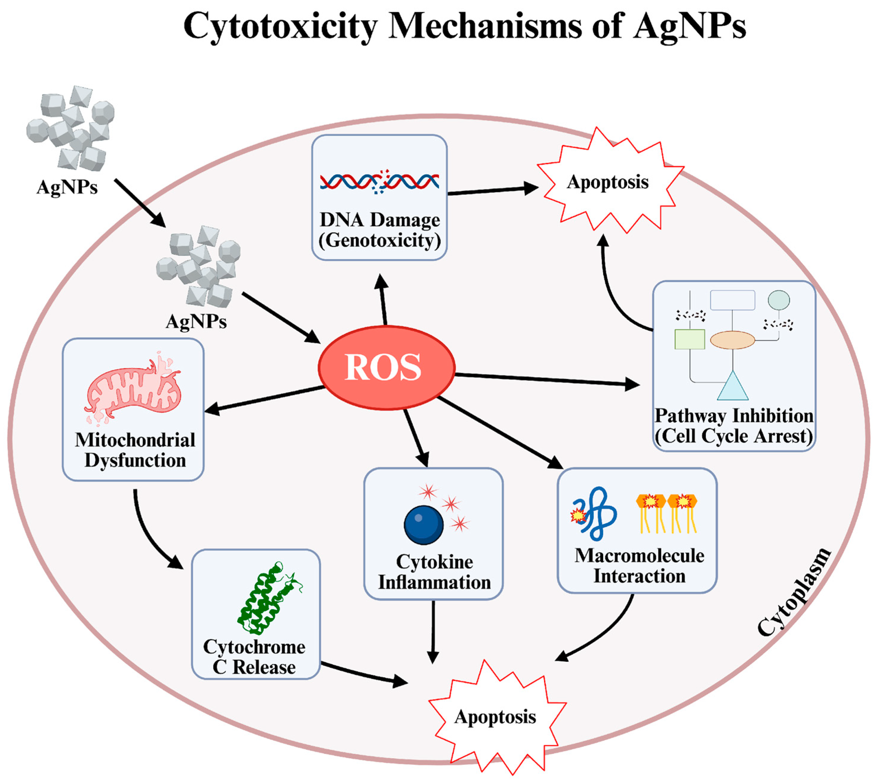 Pharmaceuticals 19 00241 g001 Pharmaceuticals 19 00241 g001