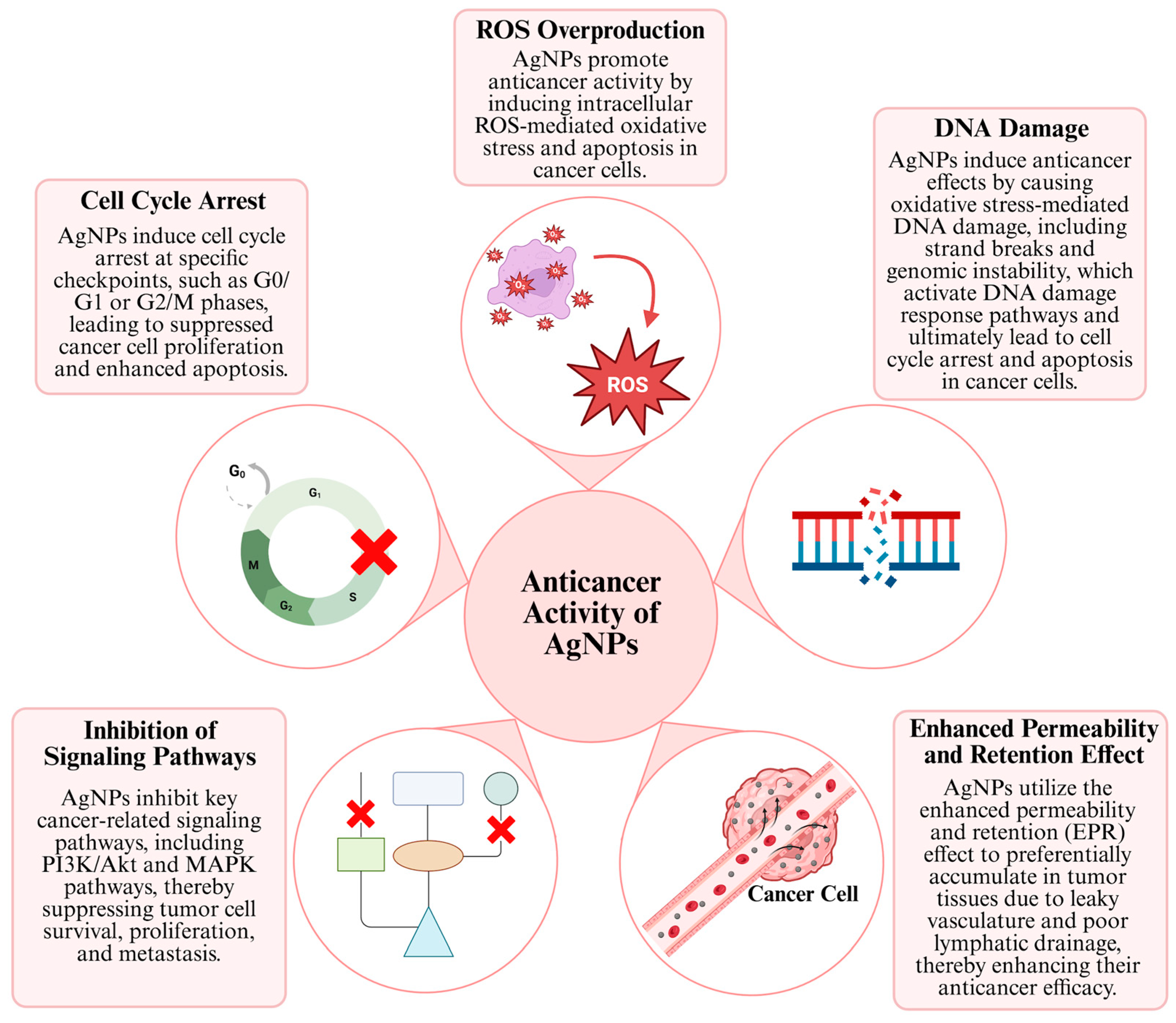 Pharmaceuticals 19 00241 g002 Pharmaceuticals 19 00241 g002