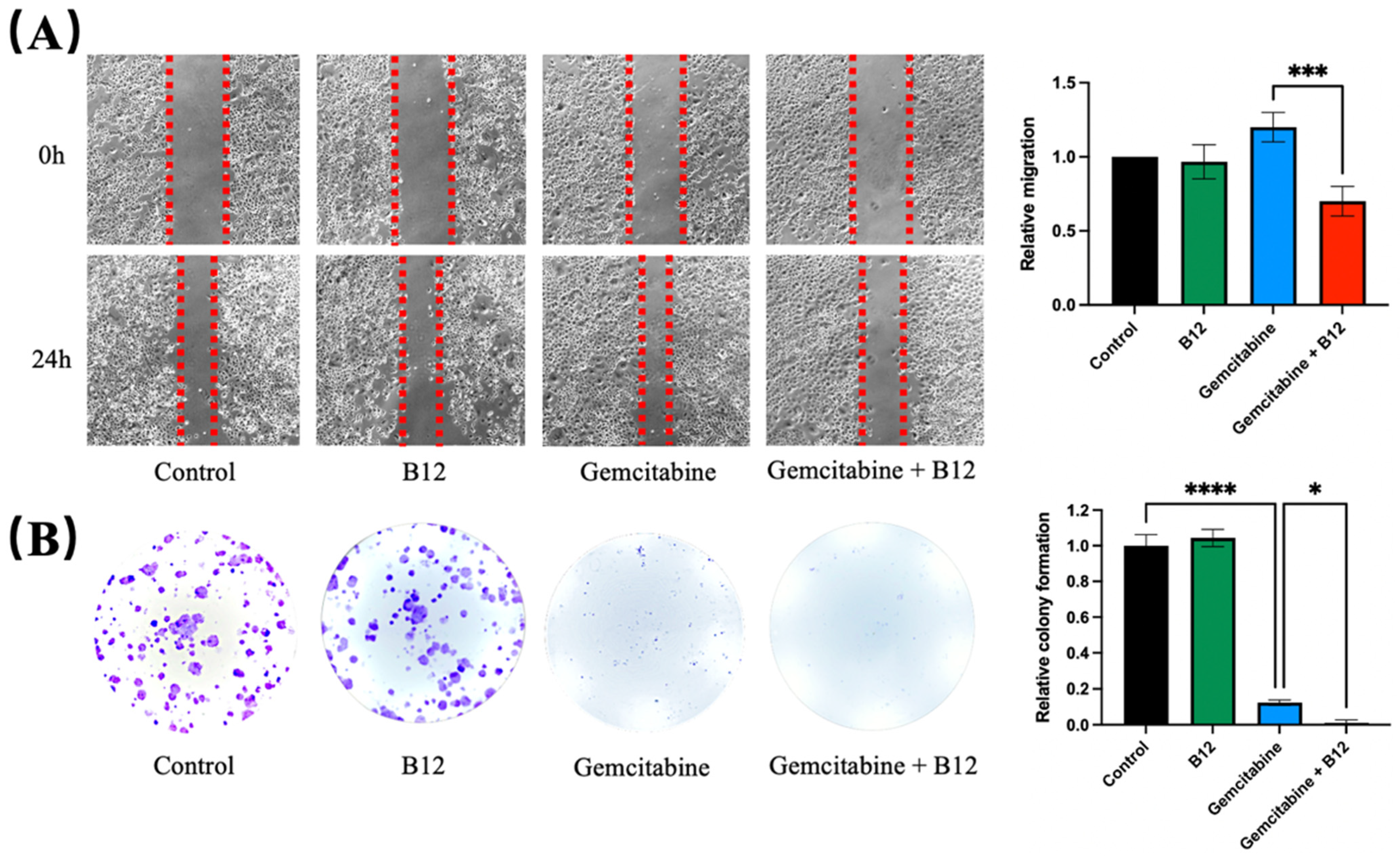 Pharmaceuticals 19 00243 g003