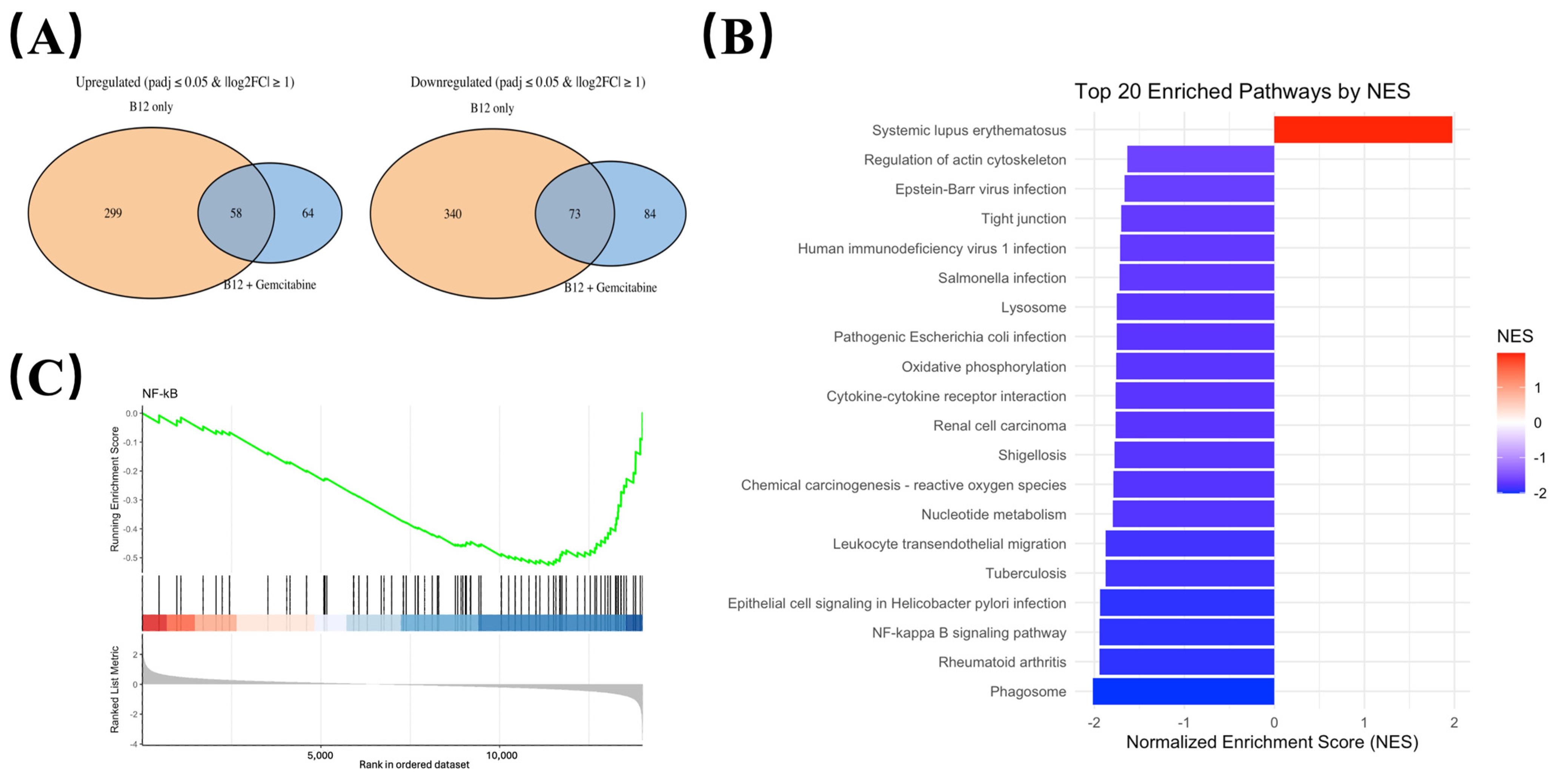 Pharmaceuticals 19 00243 g005