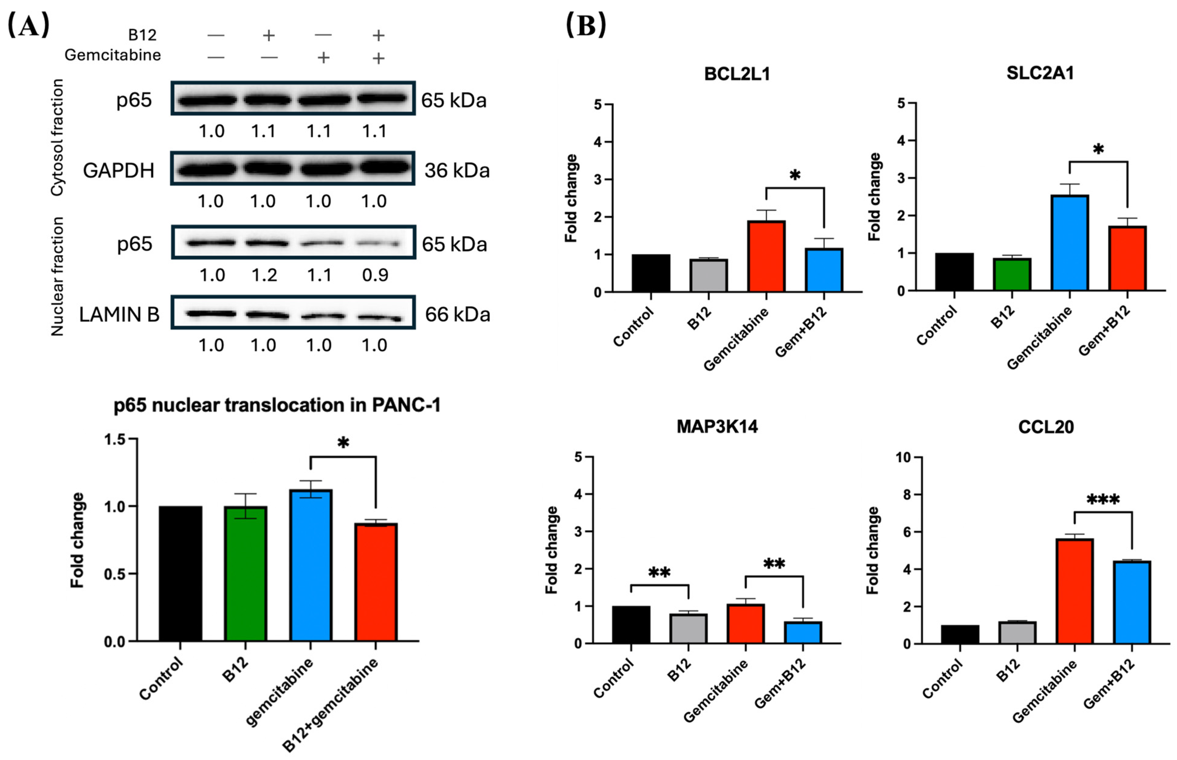Pharmaceuticals 19 00243 g006